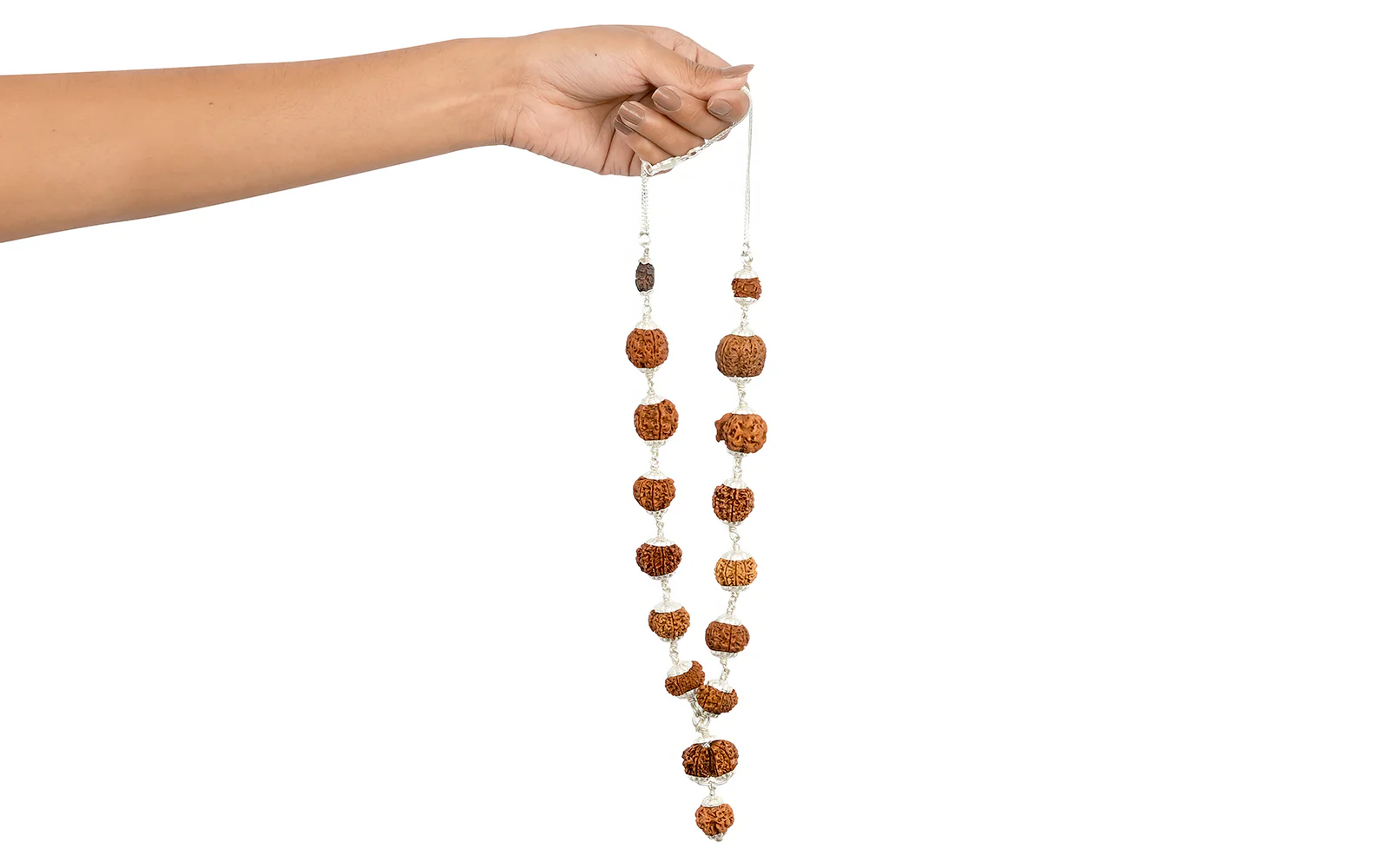 1-14 Mukhi Rudraksha Mala (Siddha Mala) - Indonesian Beads - Image 5