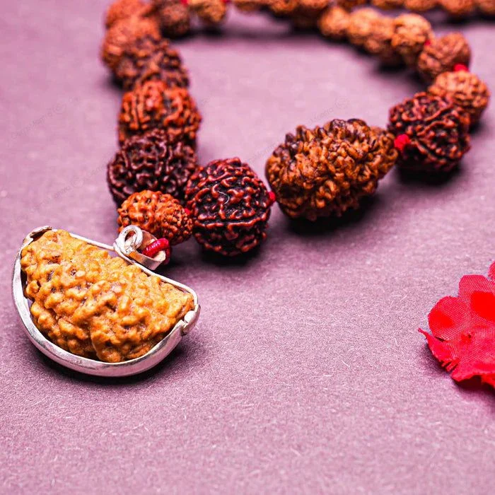 1-14 Mukhi Rudraksha Mala (Siddha Mala) - Indonesian Beads - Image 6