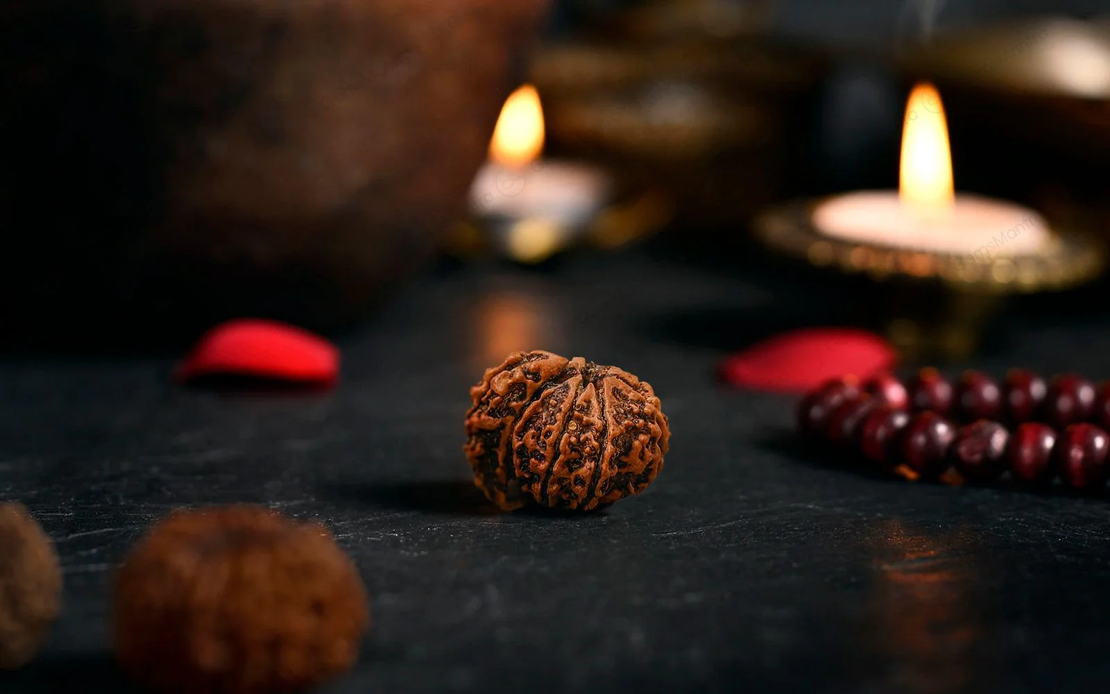 Natural 1 Mukhi Rudraksha Savar (Nepali) - Image 3