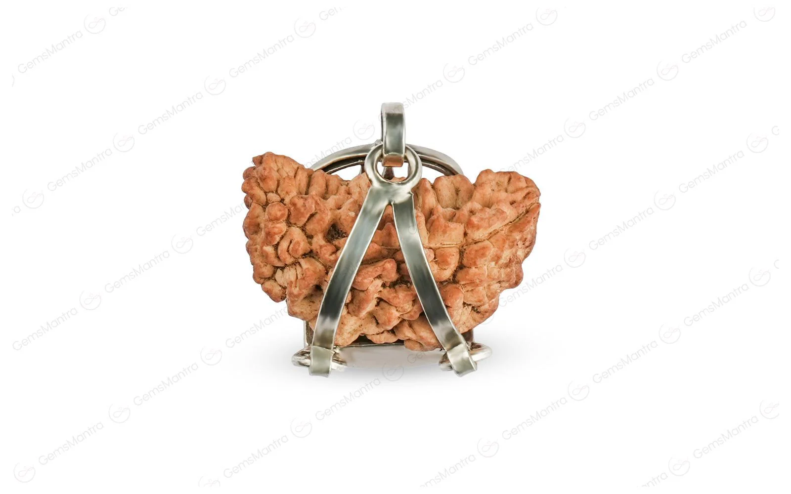 1 Mukhi Rudraksha Trishul Silver Pendant - Image 3
