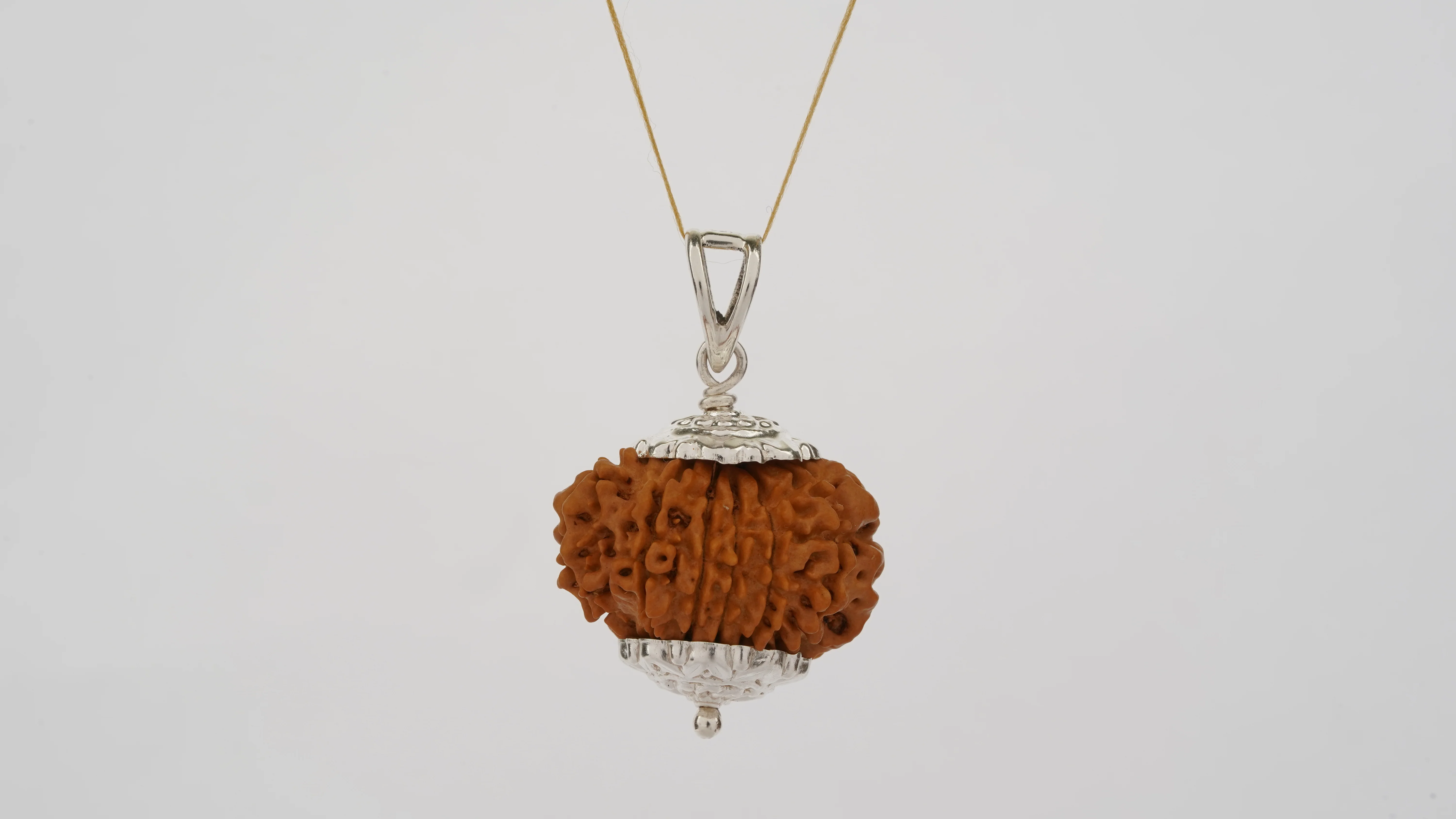 Natural 12 Mukhi Rudraksha (Nepali) - Image 6