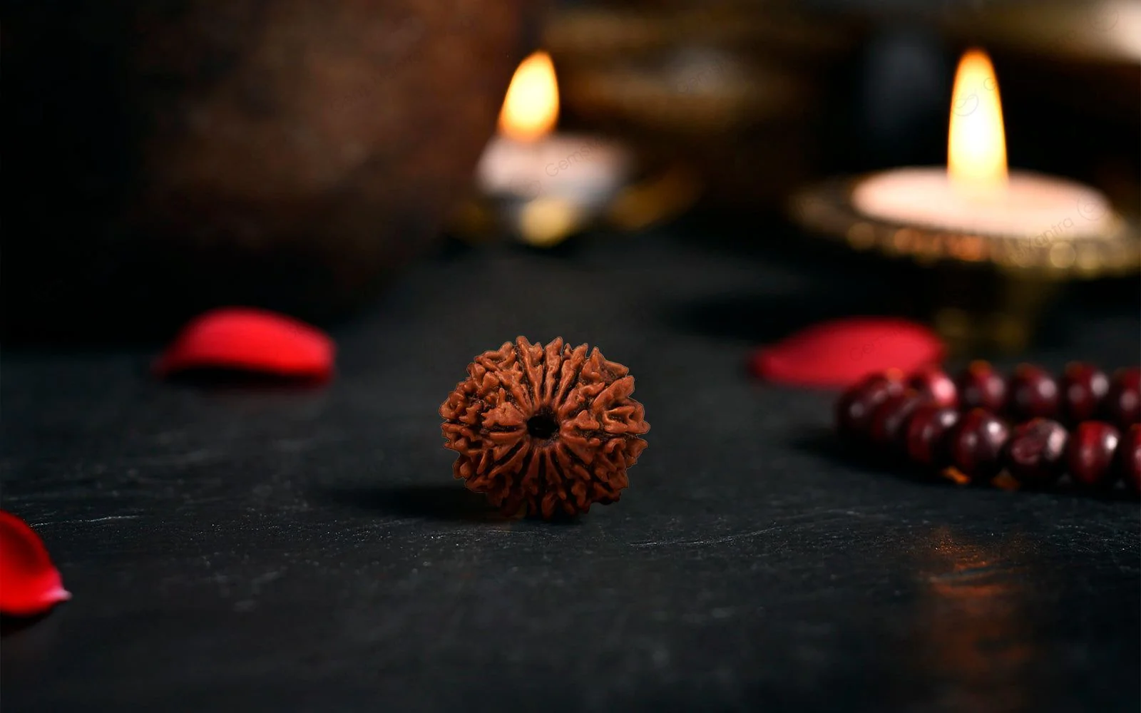 Natural 13 Mukhi Rudraksha (Nepali) - Image 3