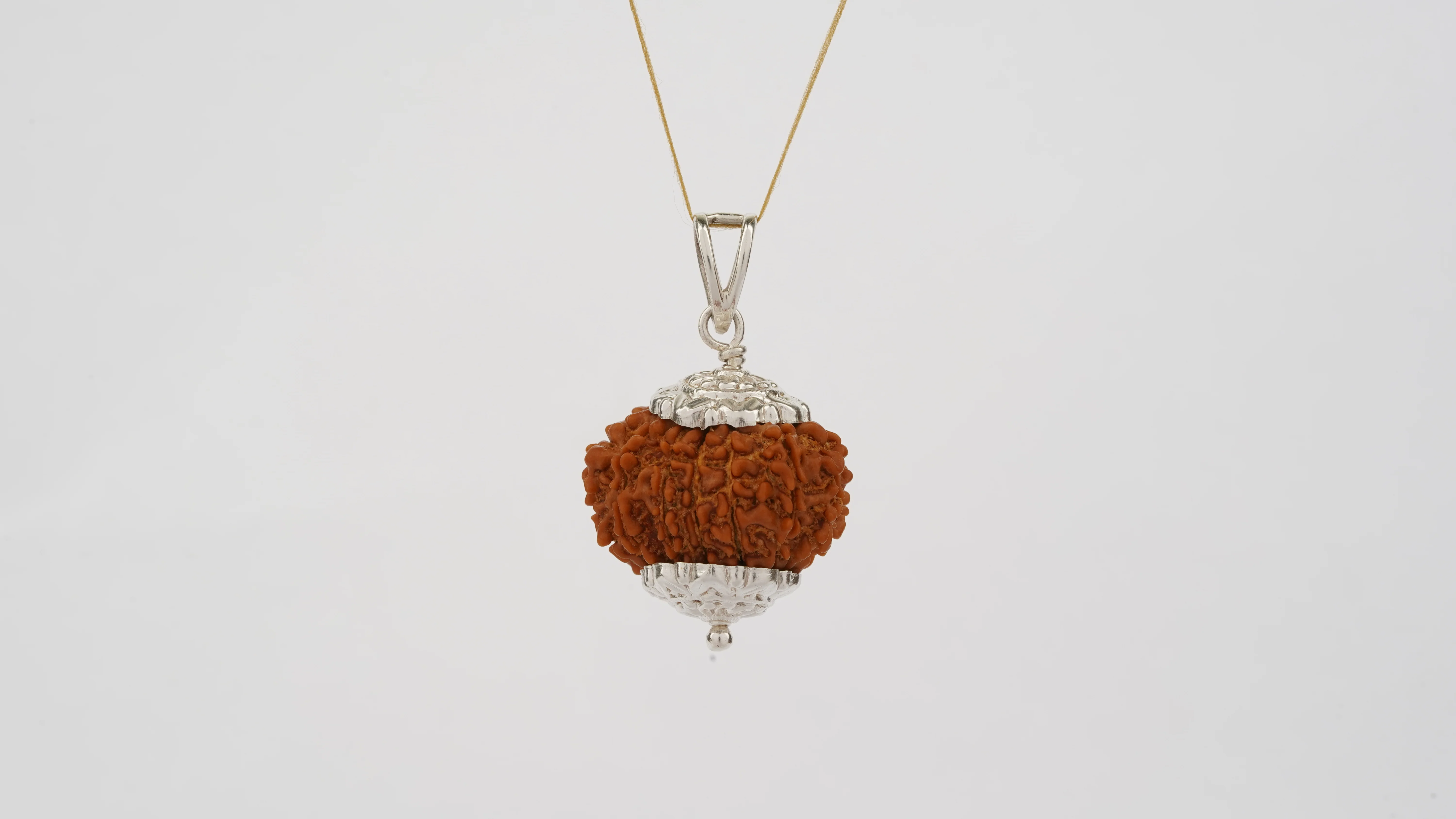 Natural 13 Mukhi Rudraksha (Nepali) - Image 6