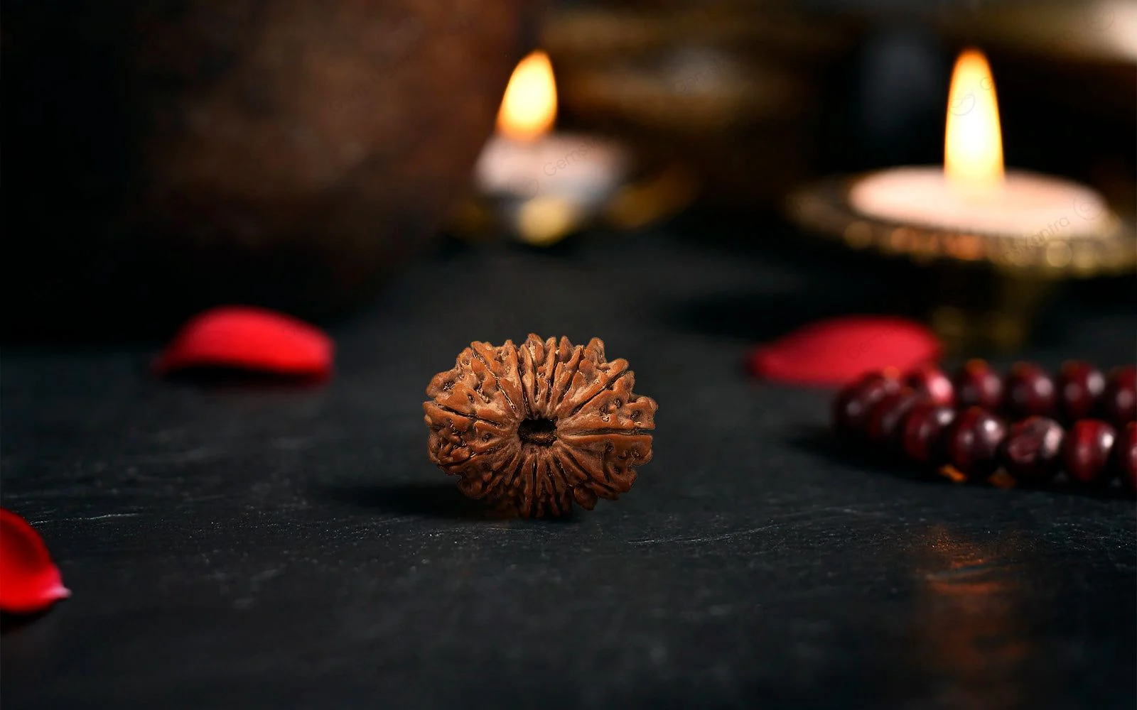 Natural 15 Mukhi Rudraksha (Nepali) - Image 3