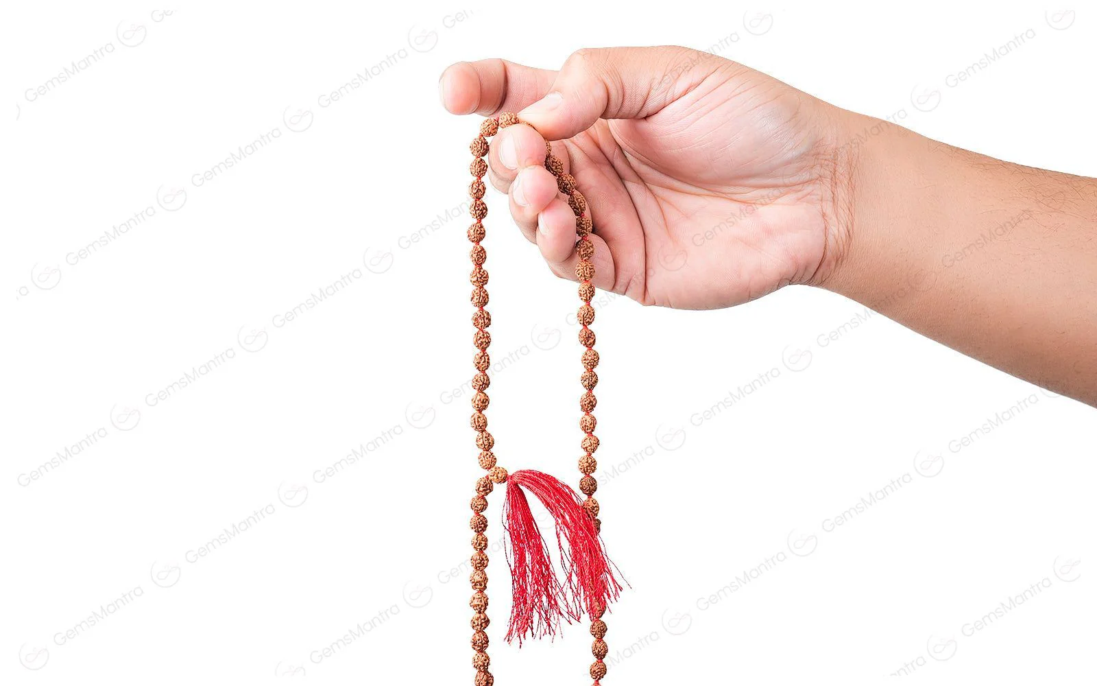 2 Mukhi Japa Rudraksha Mala - Image 3