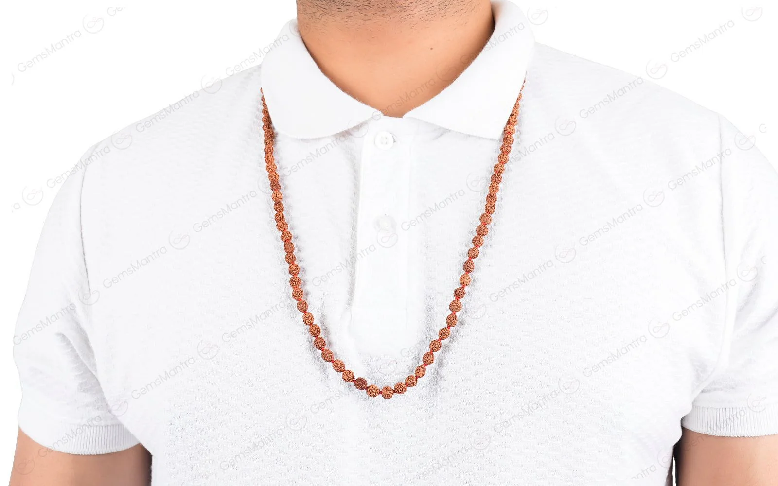 2 Mukhi Japa Rudraksha Mala - Image 4