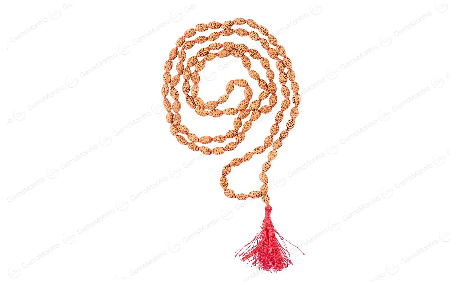 2 Mukhi Japa Rudraksha Mala - Image 5