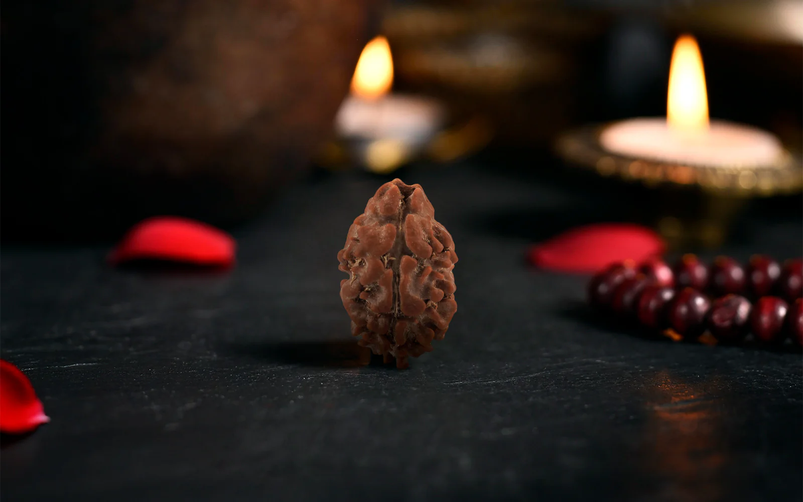 Natural 2 Mukhi Rudraksha (Nepali) - Image 3