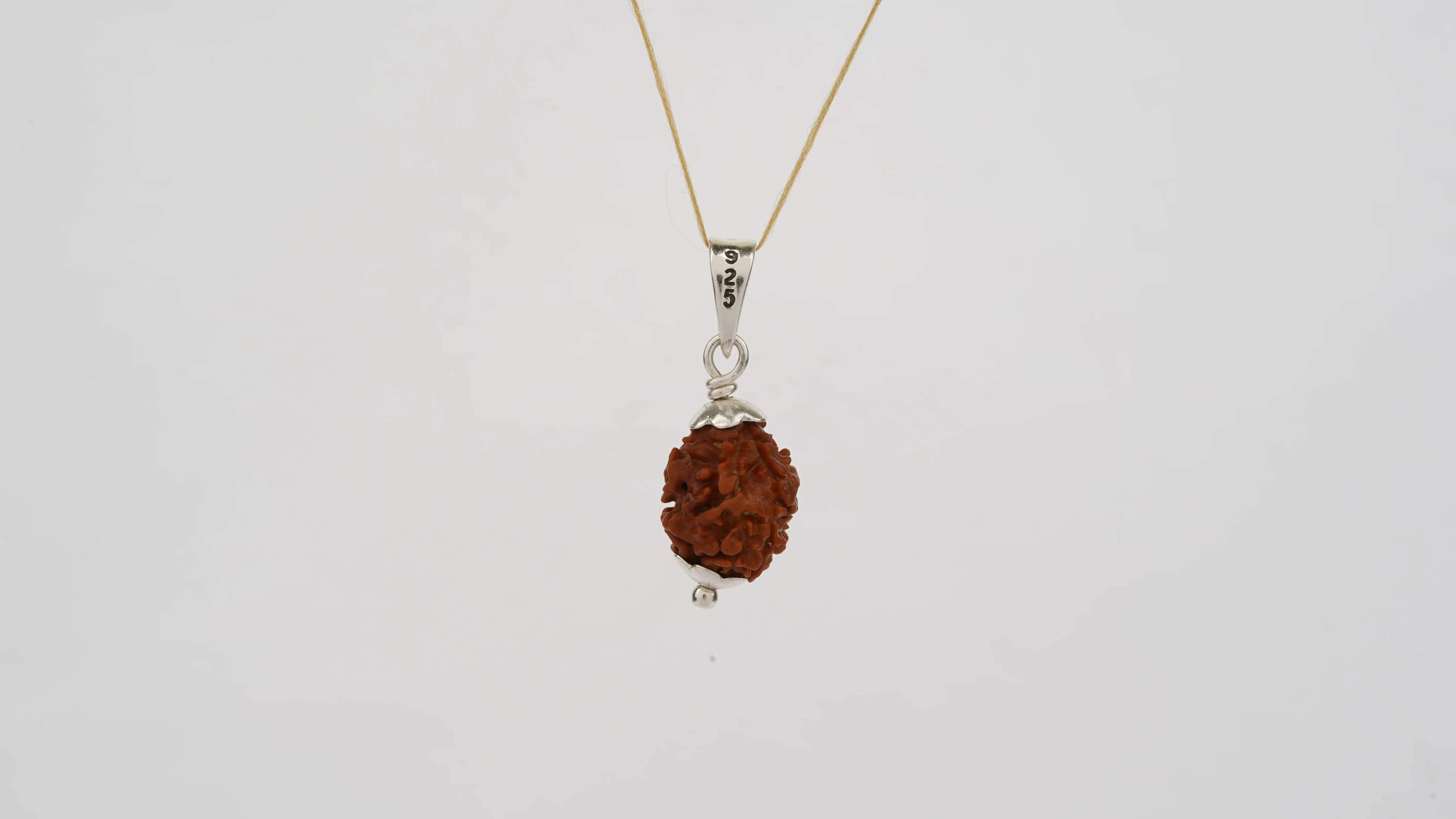 Natural 2 Mukhi Rudraksha (Nepali) - Image 4