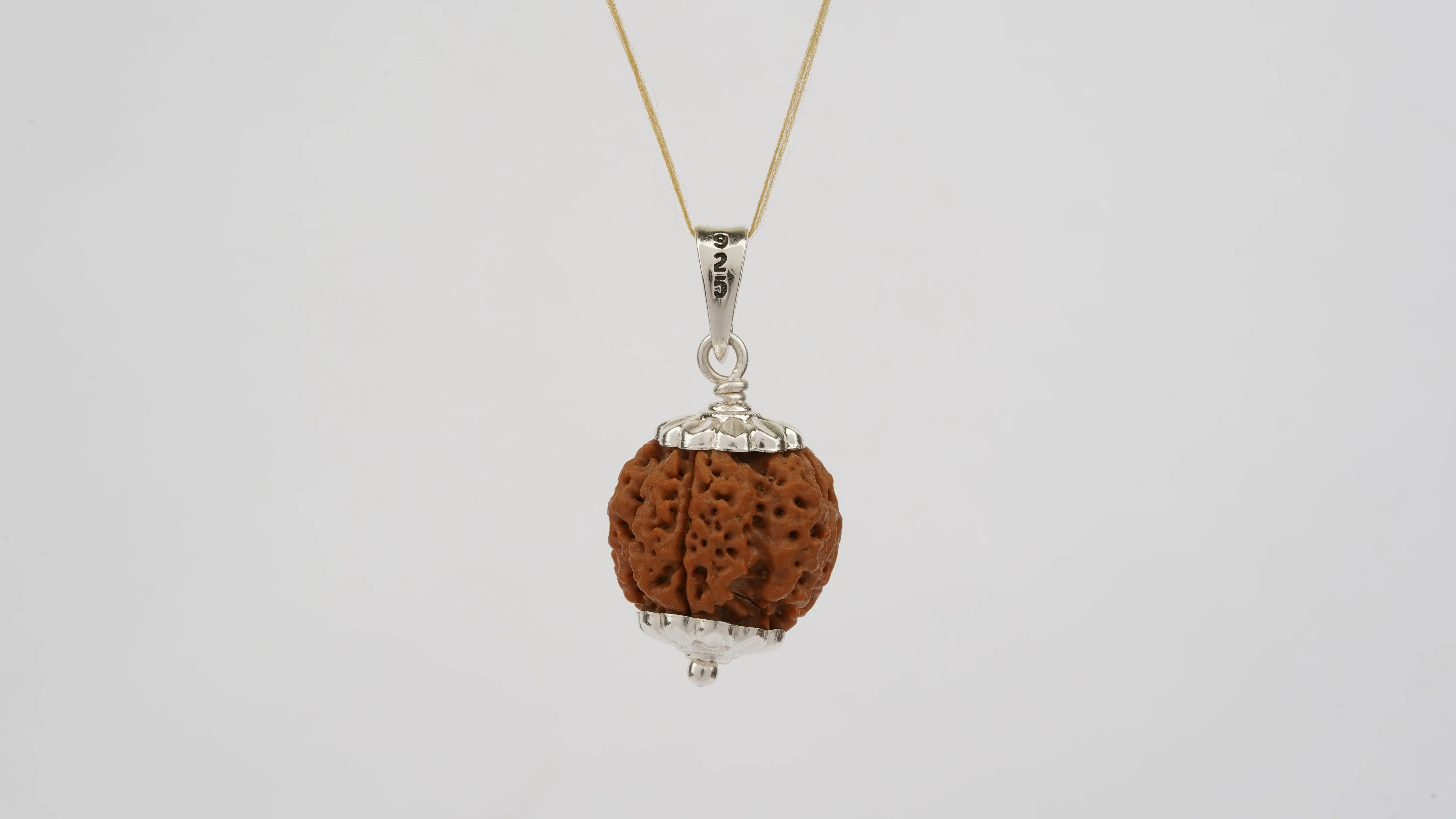 Natural 4 Mukhi Rudraksha (Nepali) - Image 6