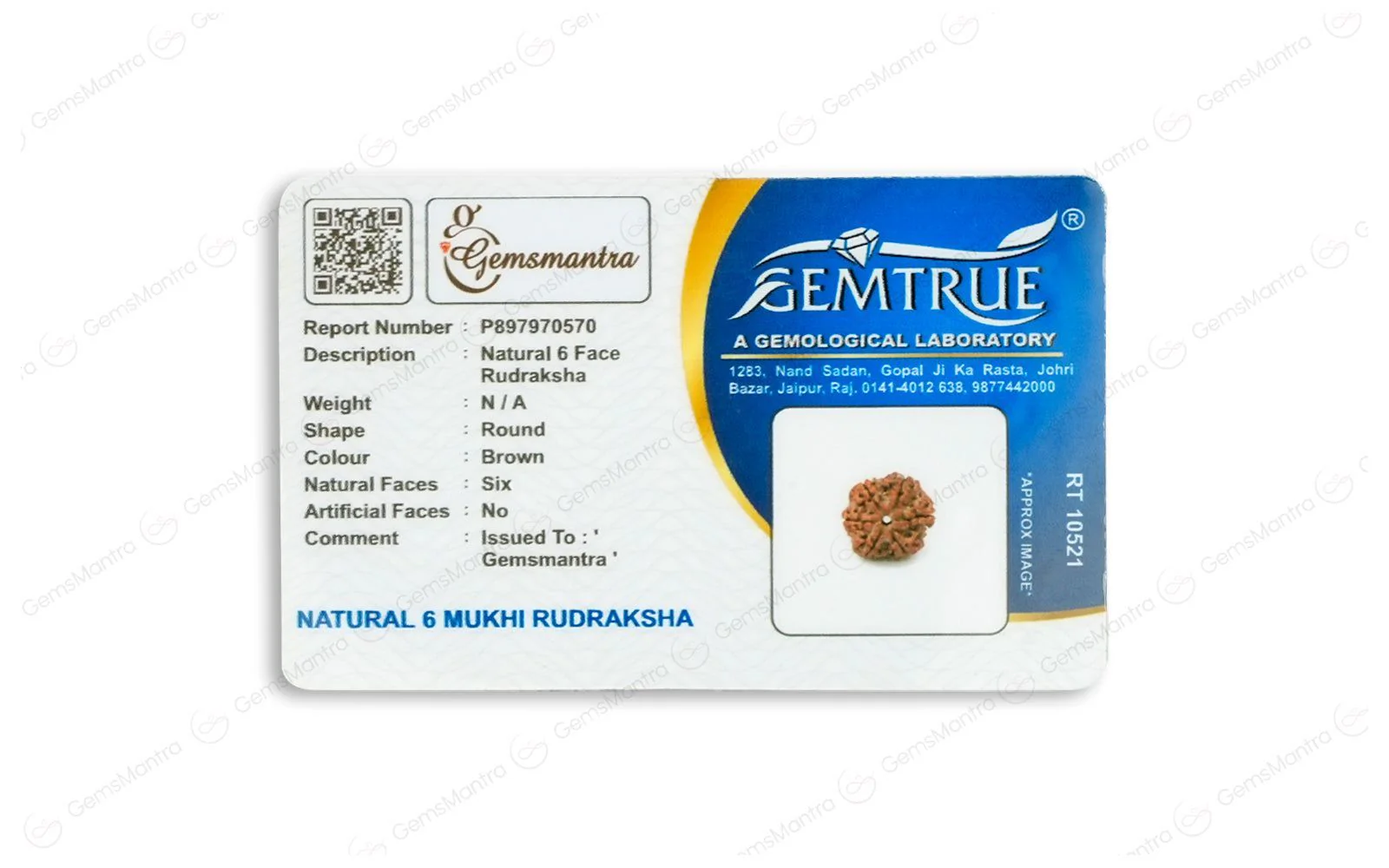 5 Mukhi Silver Rudraksha Mala - with Natural 6 Mukhi Rudraksha Pendant - Image 7