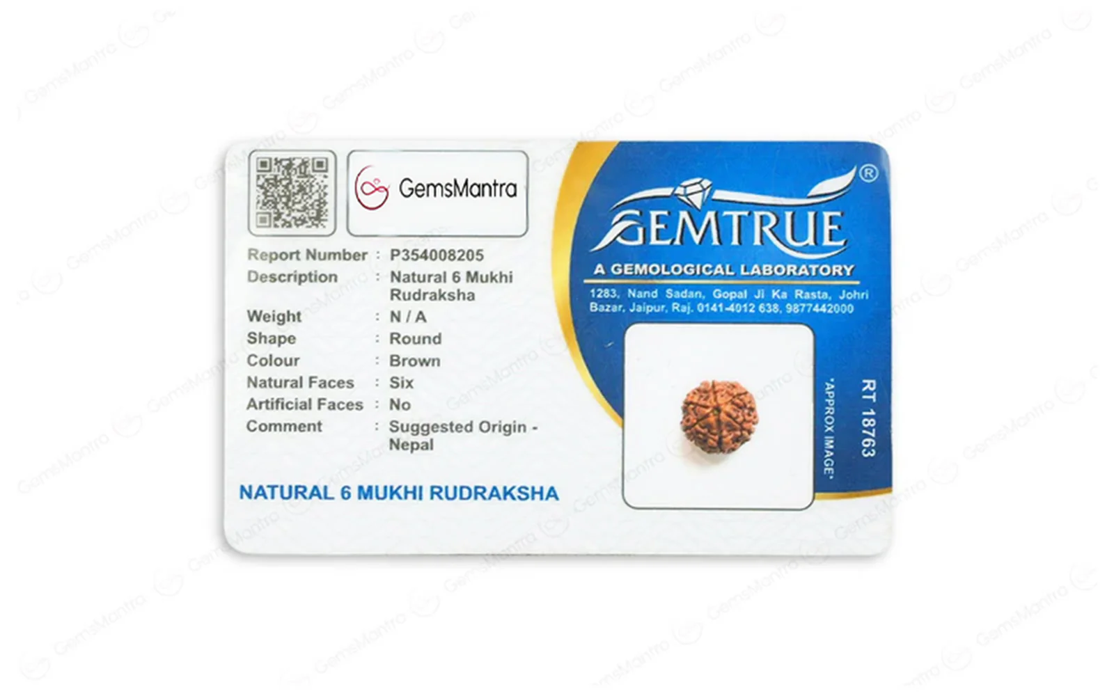 Natural 6 Mukhi Rudraksha (Nepali) - Image 5