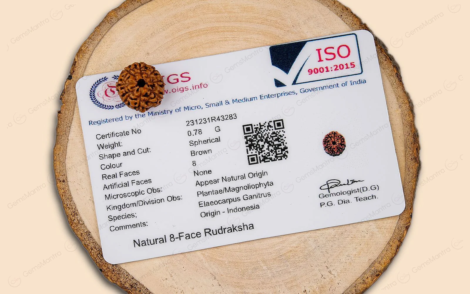 Natural 8 Mukhi Rudraksha (Indo) - Image 5
