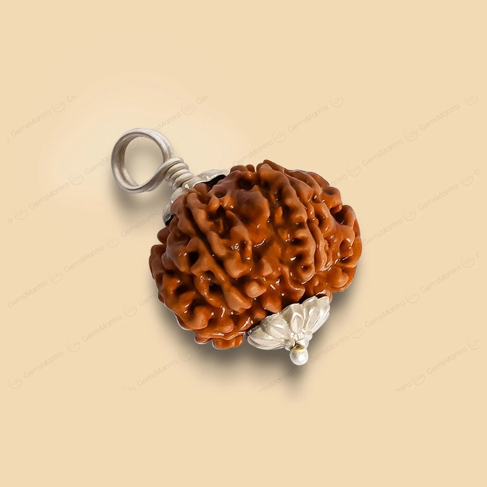 Natural 8 Mukhi Rudraksha (Indo) - Image 7
