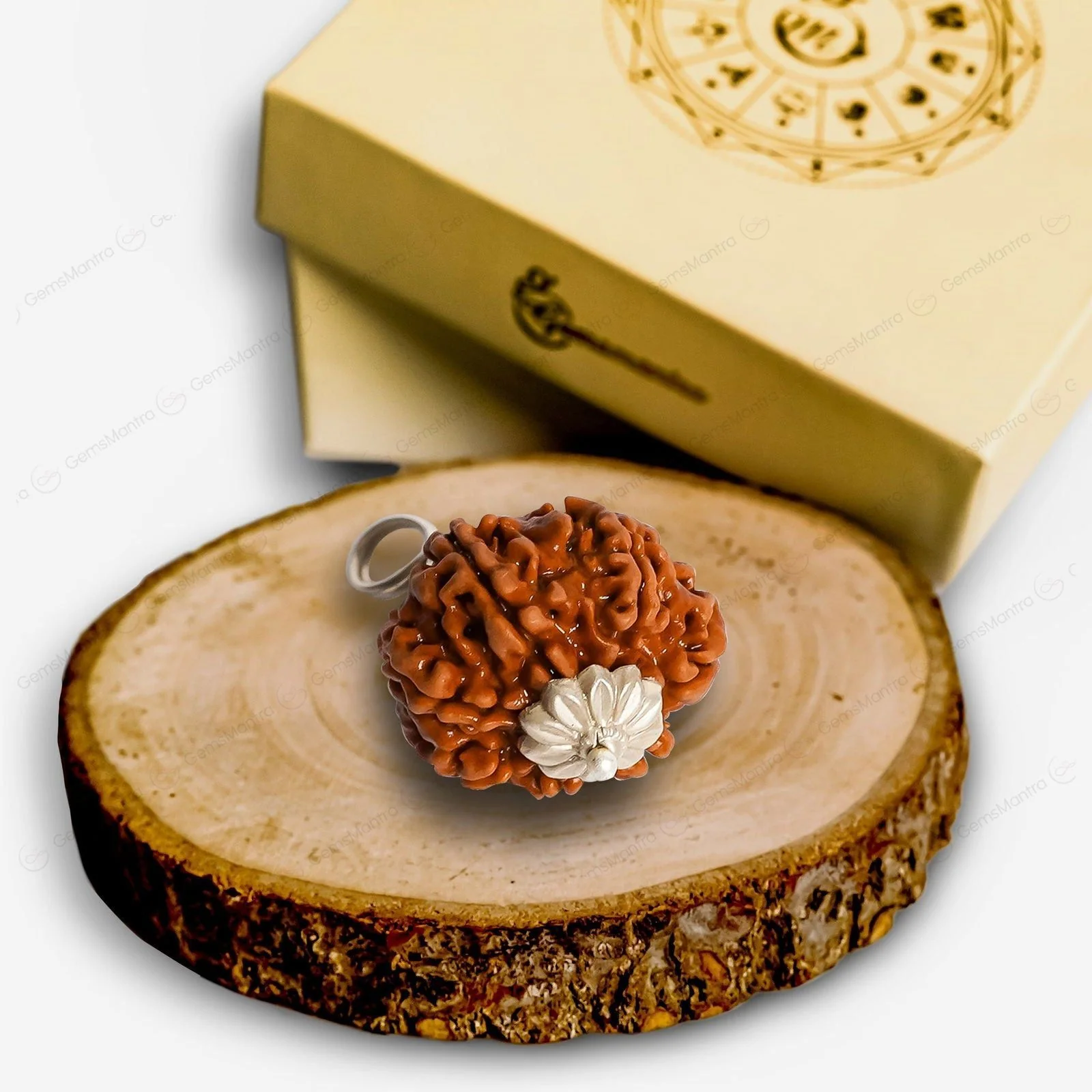 Natural 8 Mukhi Rudraksha (Indo) - Image 8