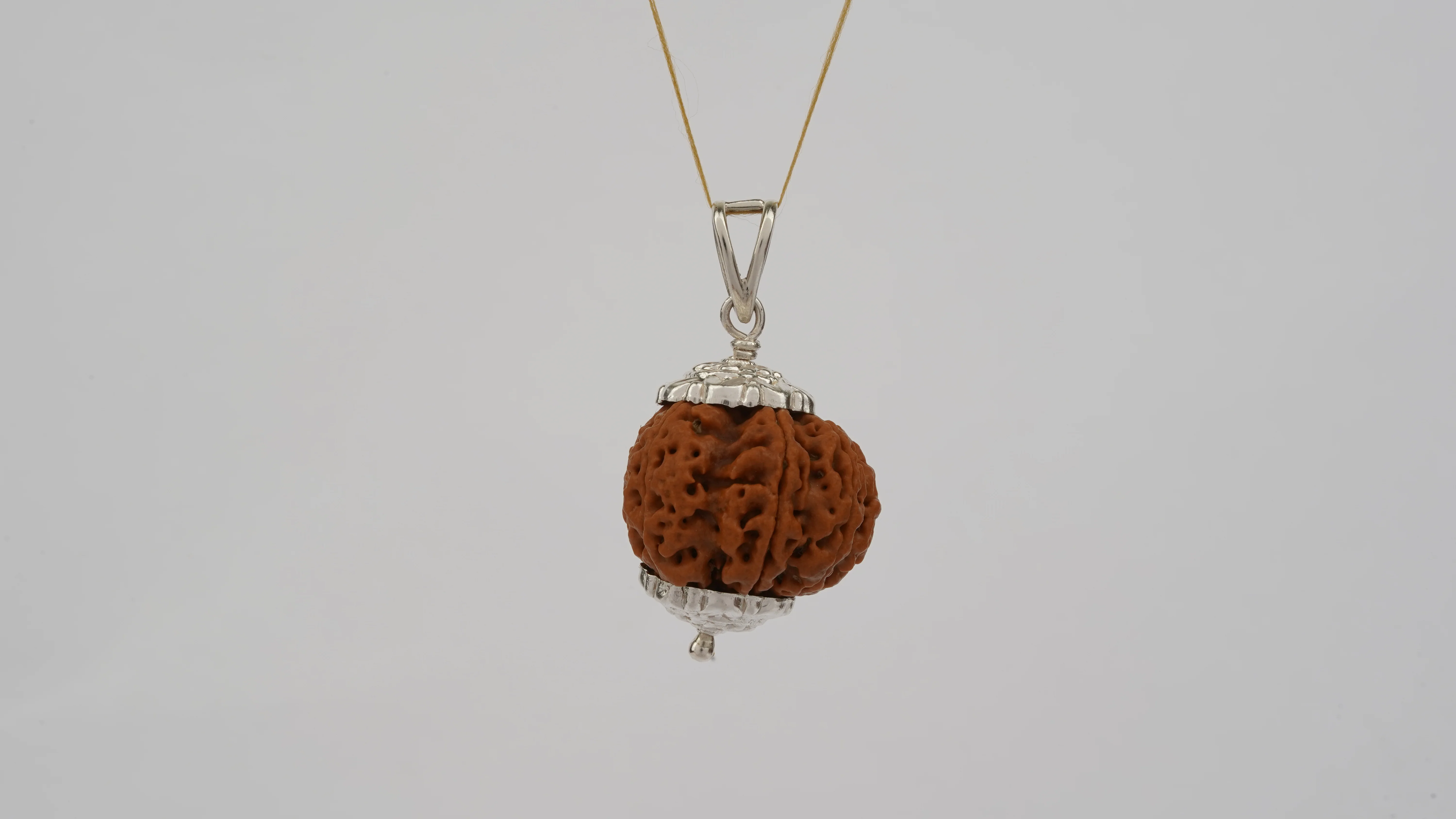 Natural 8 Mukhi Rudraksha (Nepali) - Image 6