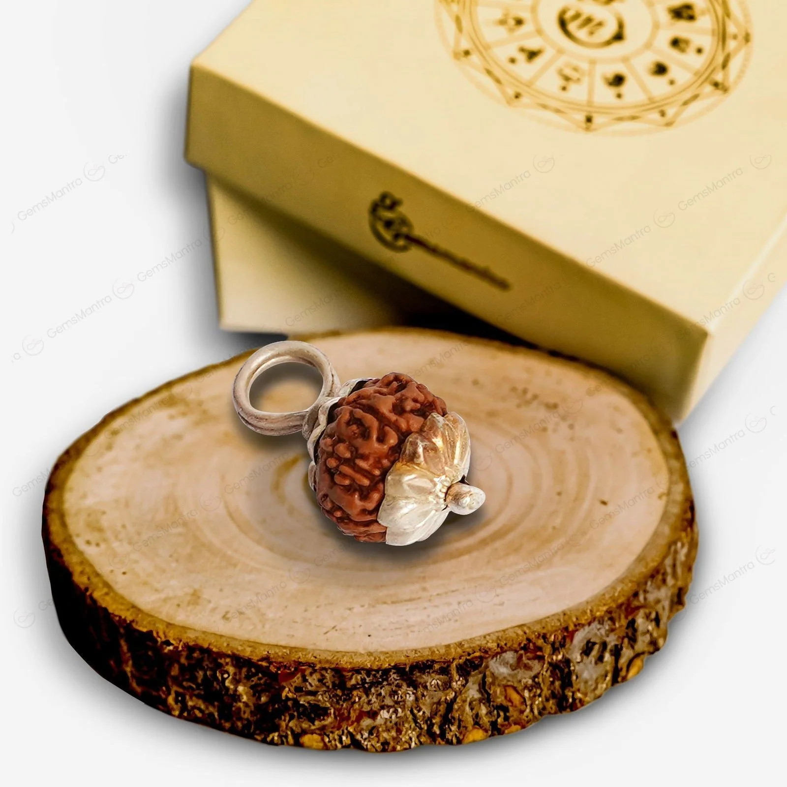 Natural 9 Mukhi Rudraksha (Indo) - Image 7
