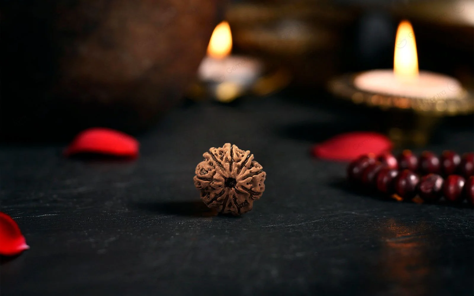 Natural 9 Mukhi Rudraksha (Nepali) - Image 3