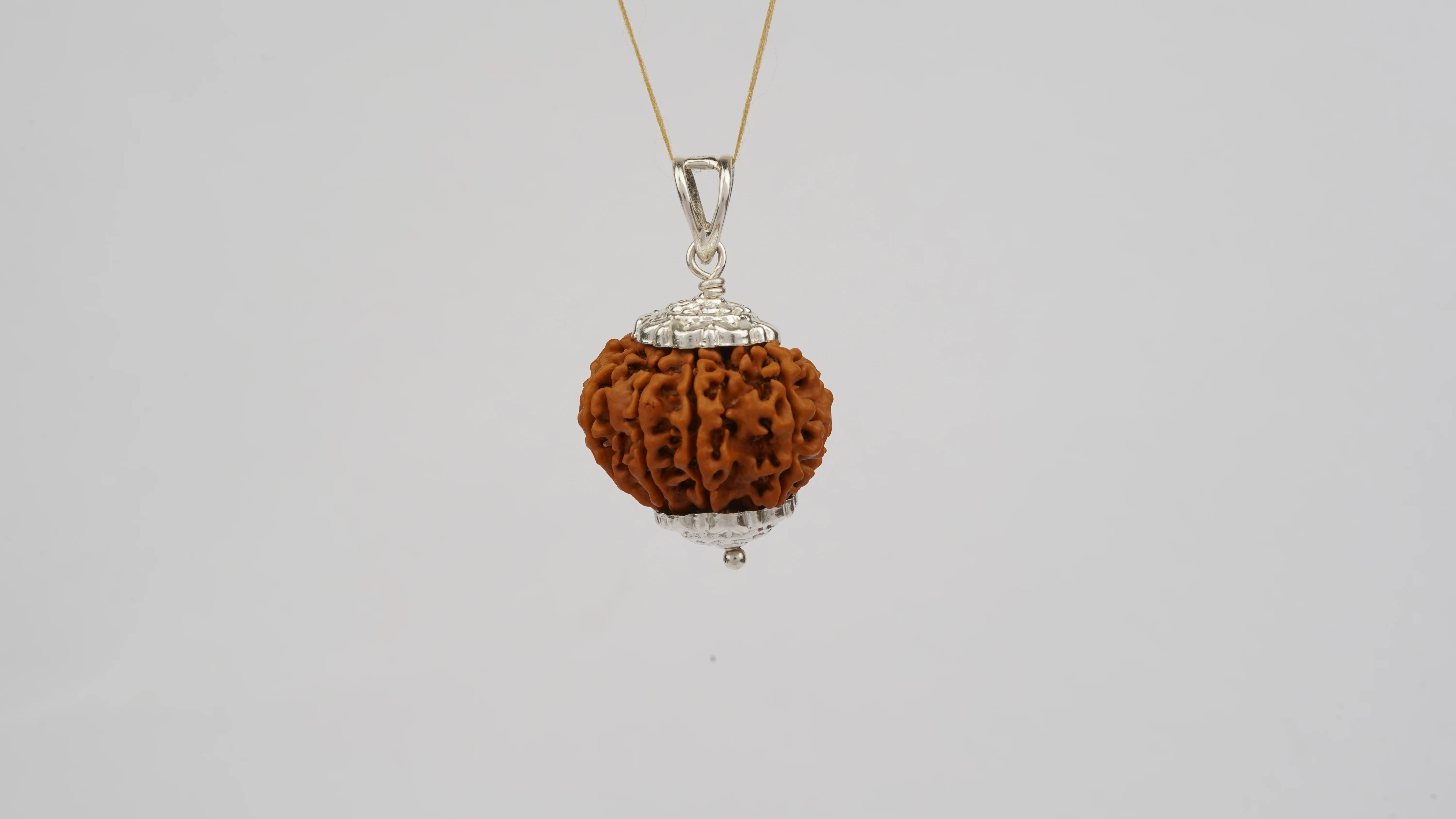 Natural 9 Mukhi Rudraksha (Nepali) - Image 6