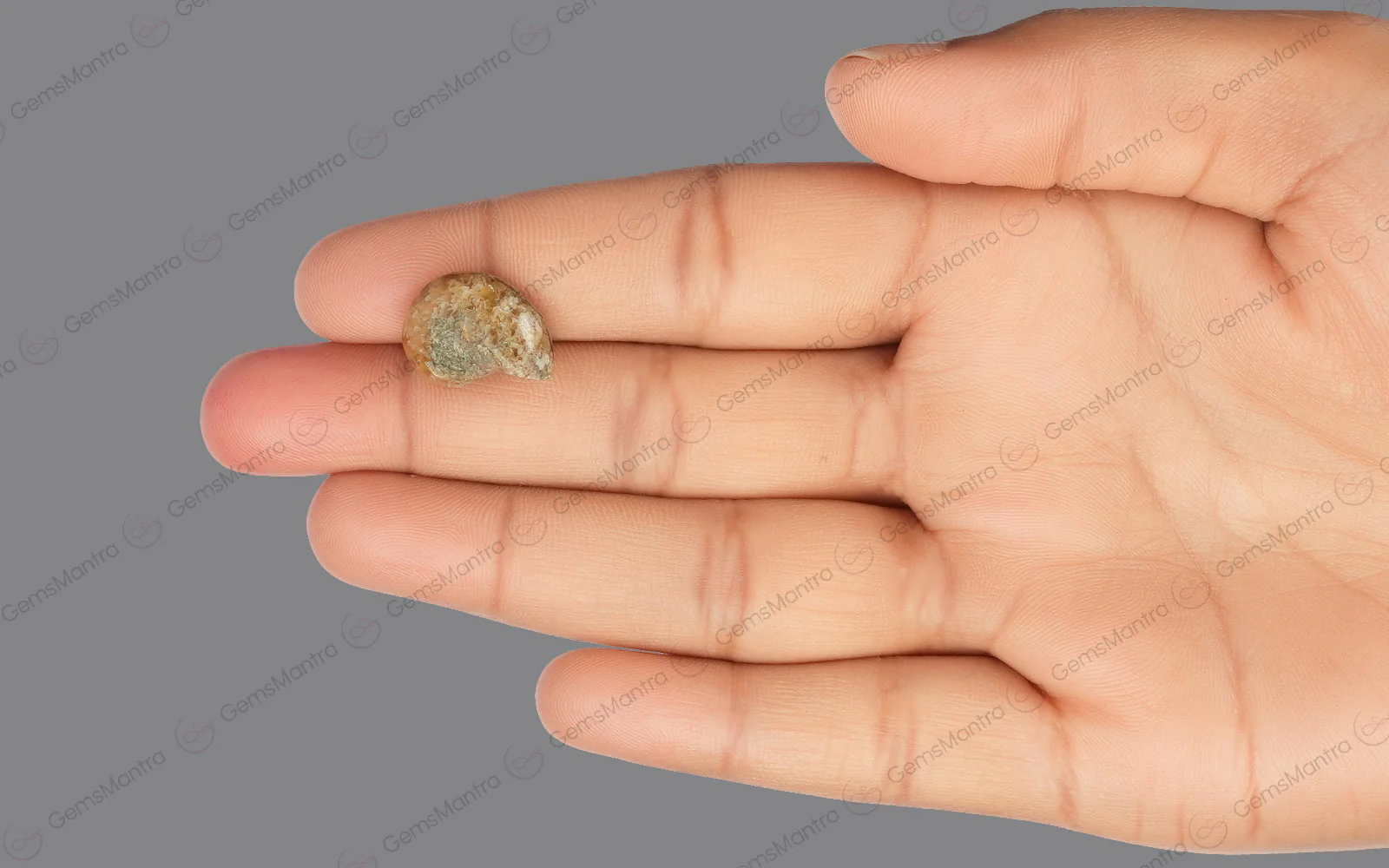 Ammolite  - 6.68 Carats - Image 3