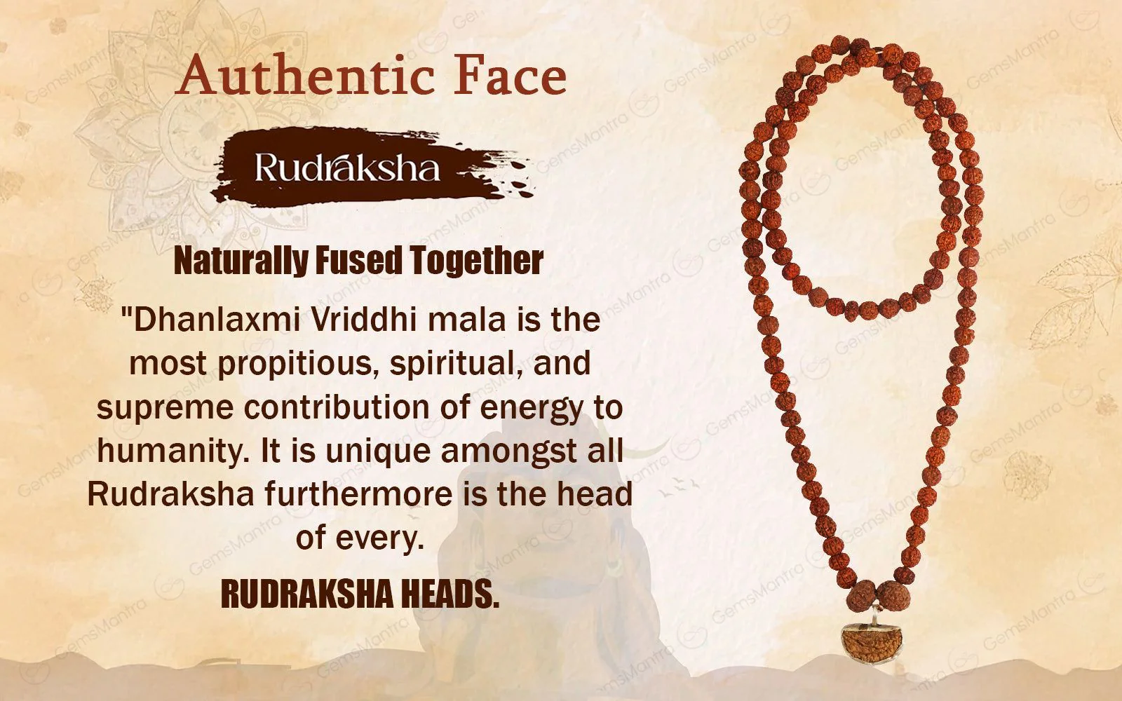 Dhanlaxmi Vriddhi Mala - 1 Mukhi and 9 Mukhi Rudraksha - Image 5