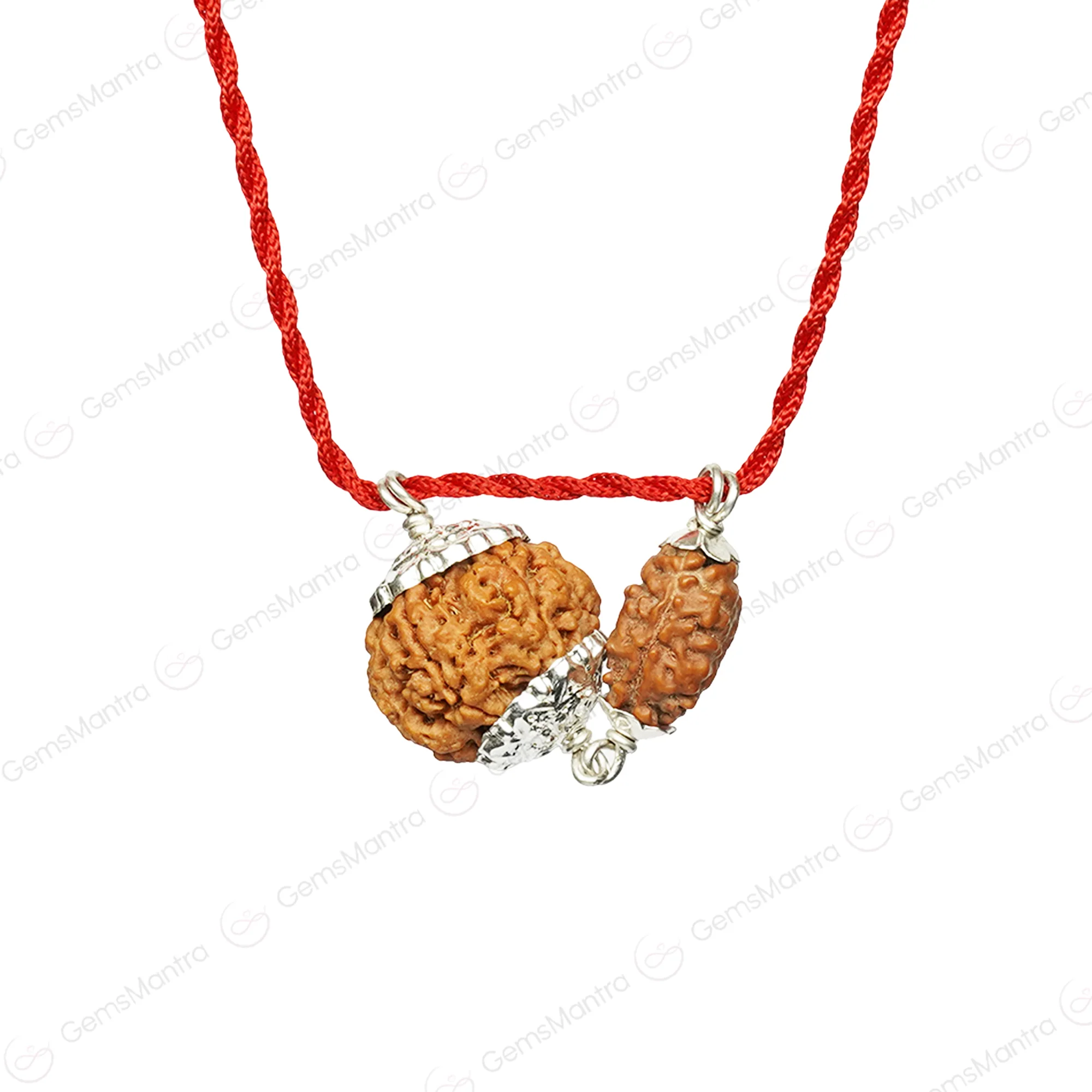 Gajkesari Yog Kavach - Image 9