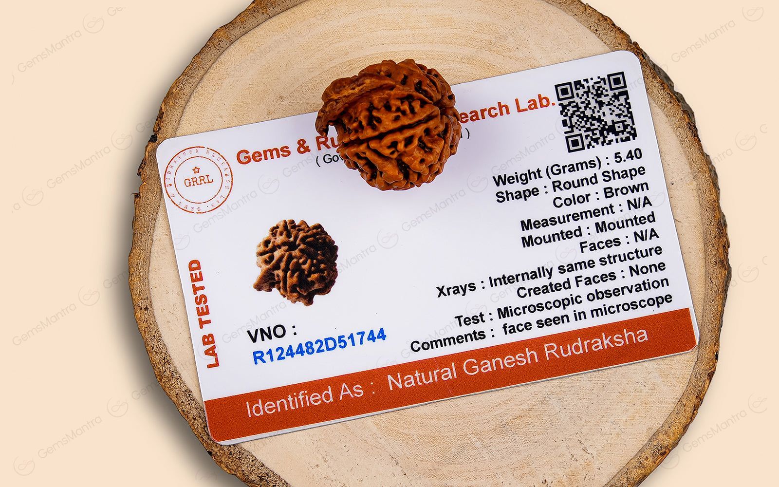 Natural Ganesha Rudraksha - Image 7