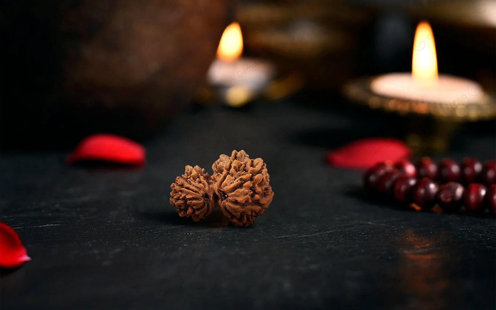 Natural Garbh Gauri Shankar Rudraksha - Image 3