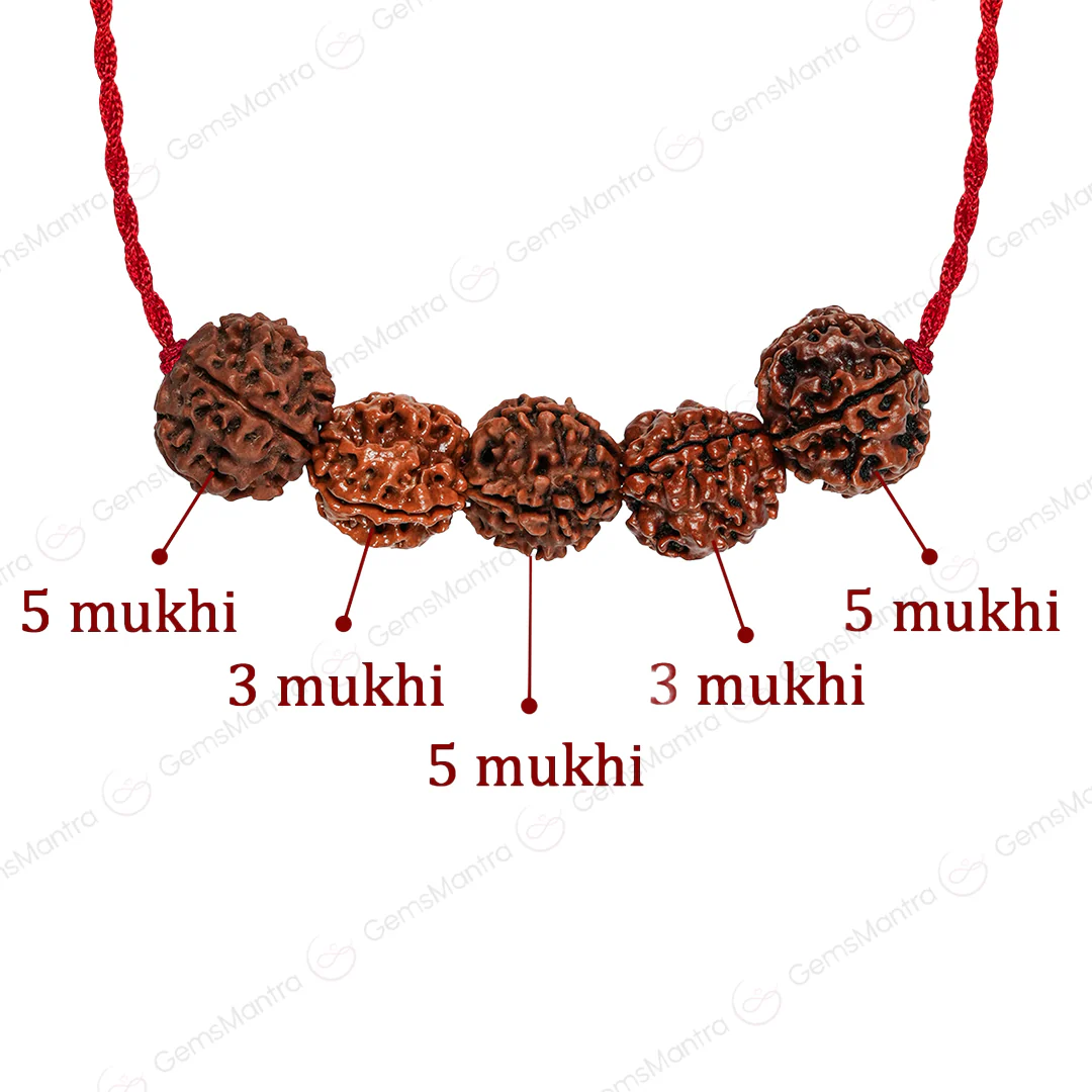 Arogya Raksha Kawach with Free Certification - Image 3