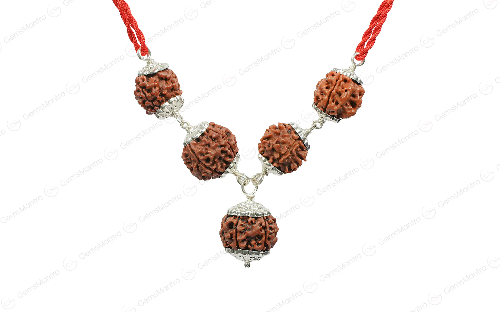 Arogya Raksha Kawach with Free Certification - Image 9