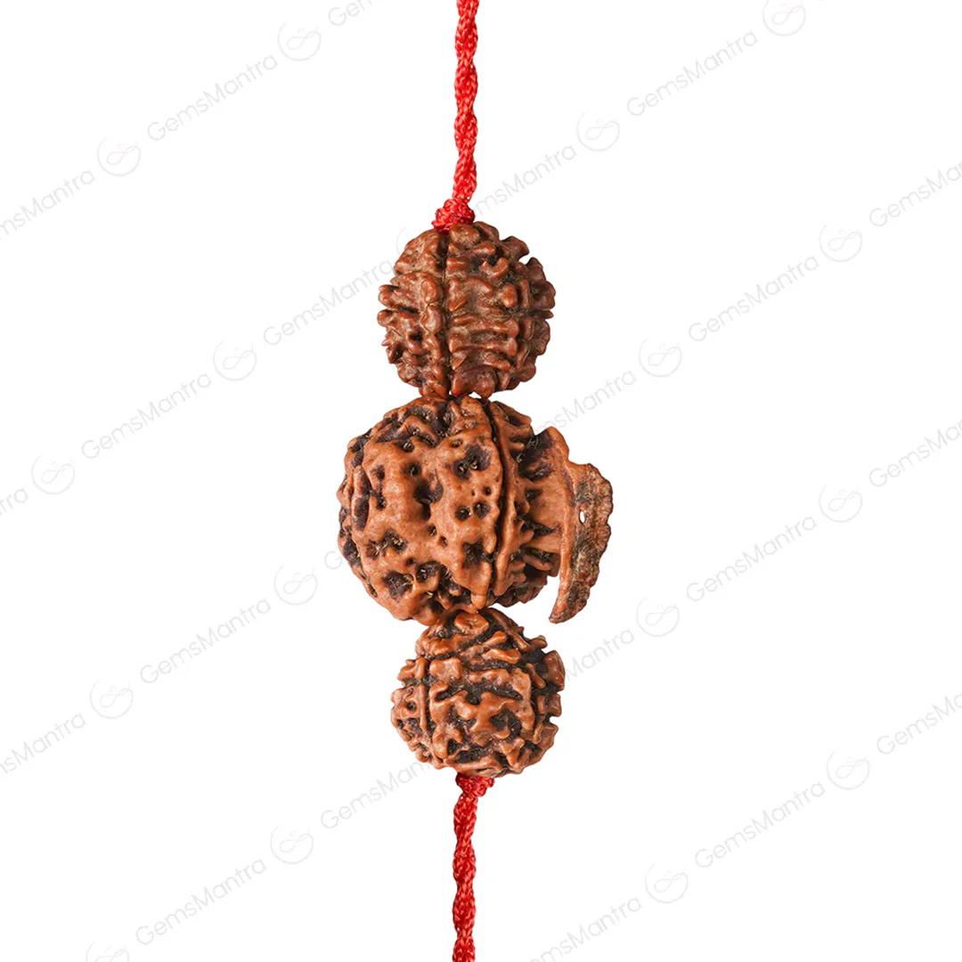 Dhan Laxmi Ganesh Kawach with Free Certification - Image 4