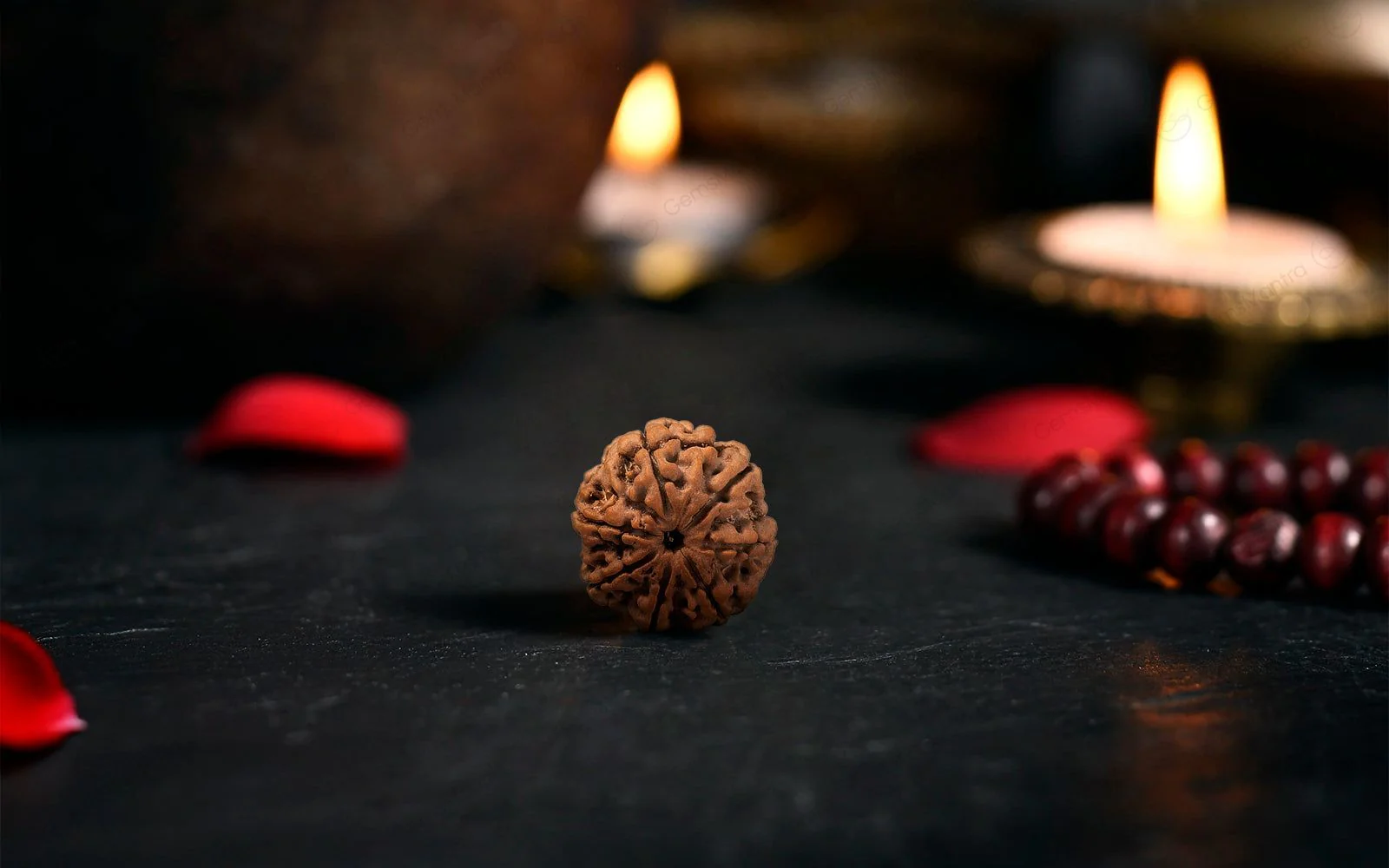 Natural 7 Mukhi Rudraksha (Nepali) - Image 3