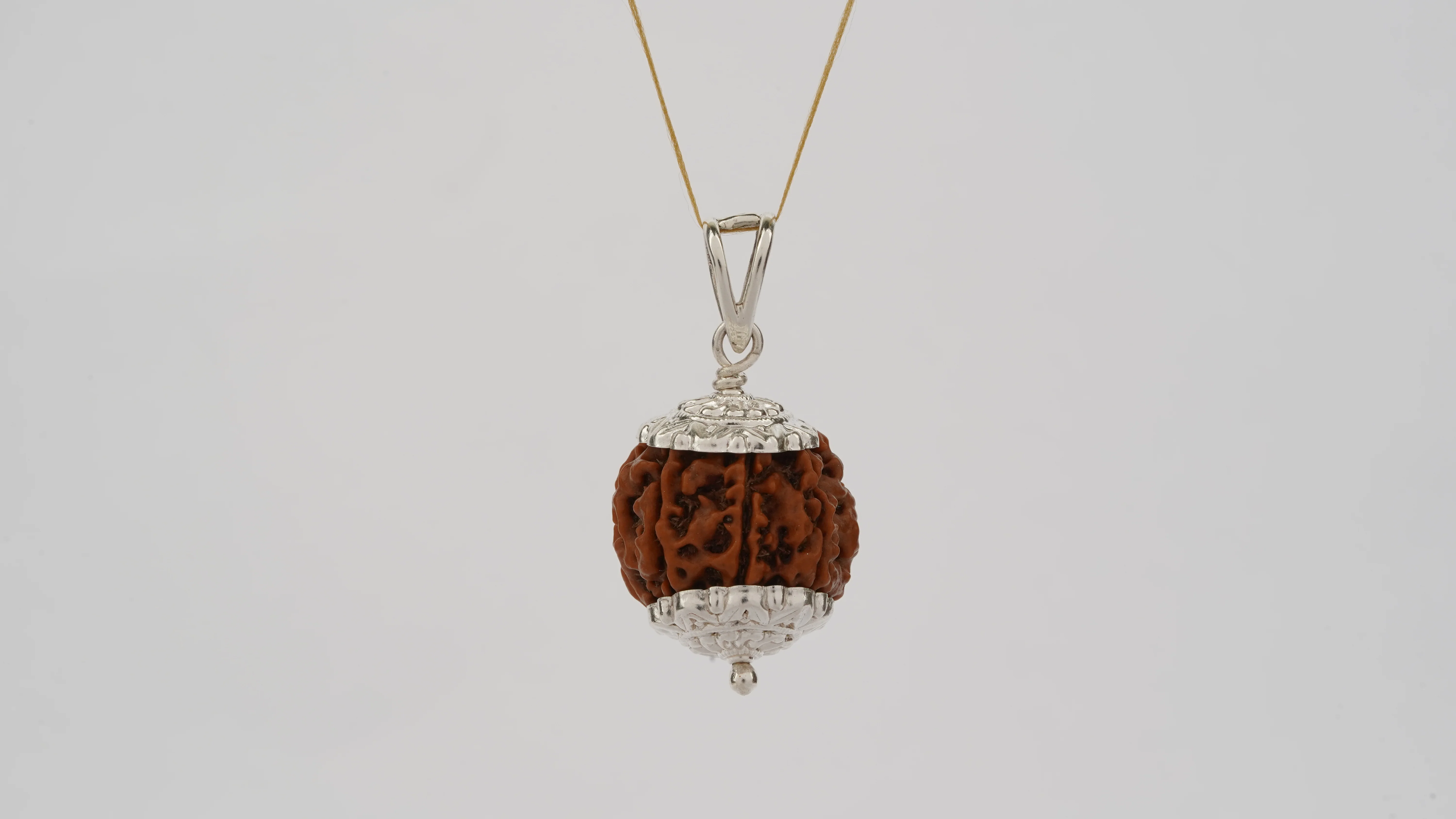 Natural 7 Mukhi Rudraksha (Nepali) - Image 6