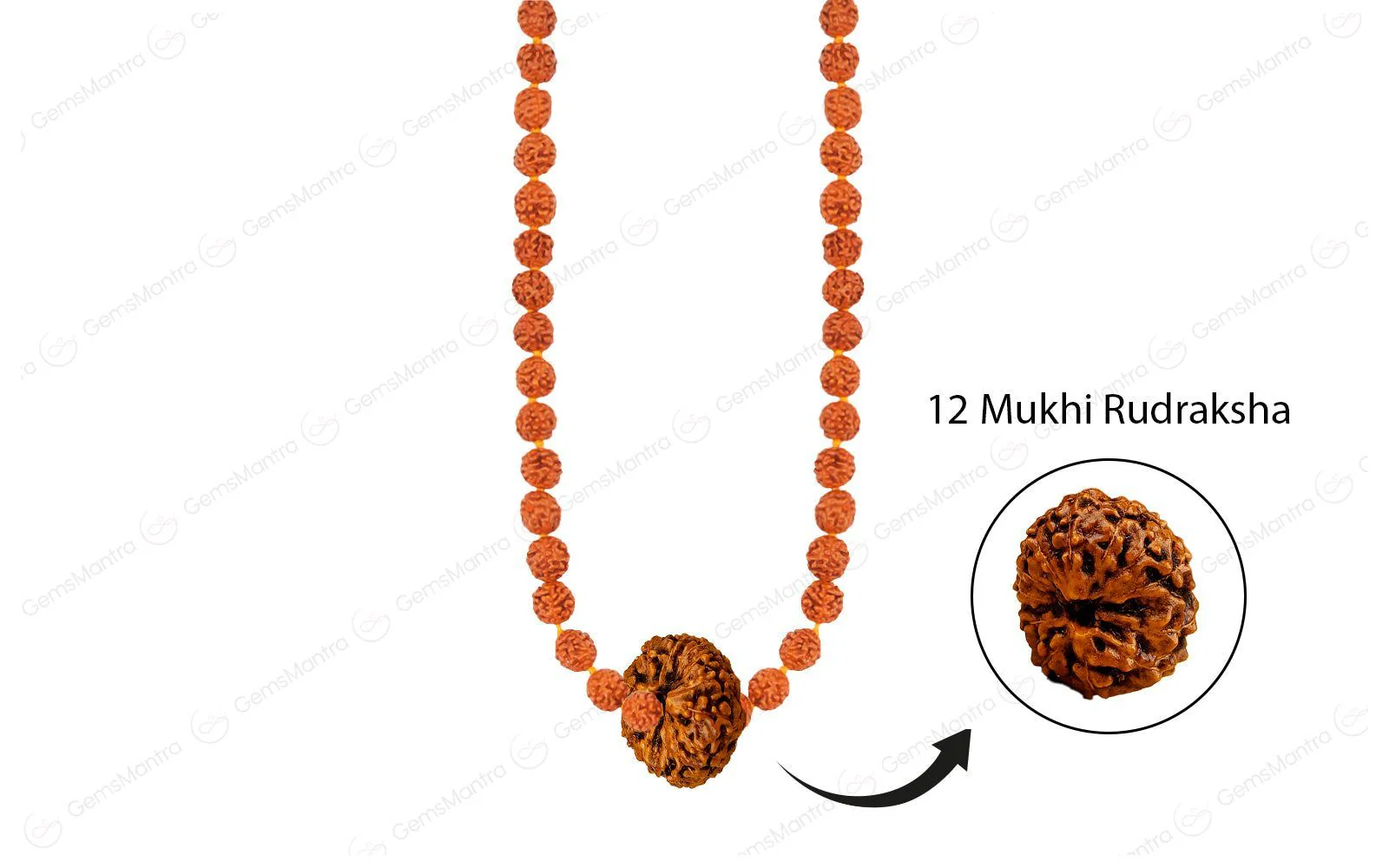 Panch Aditya Mala - Image 2