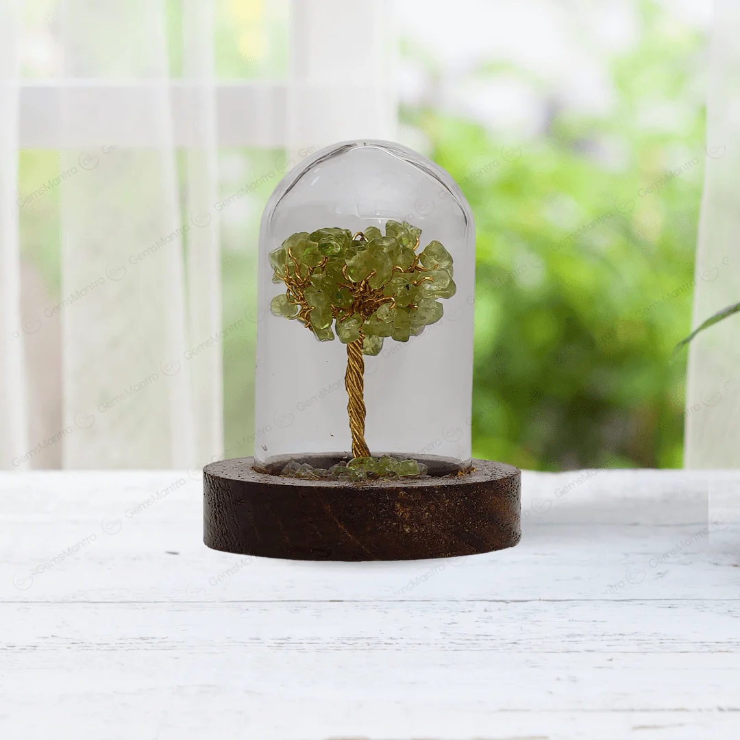 Peridot Glass Cover Showcase Tree - Image 2