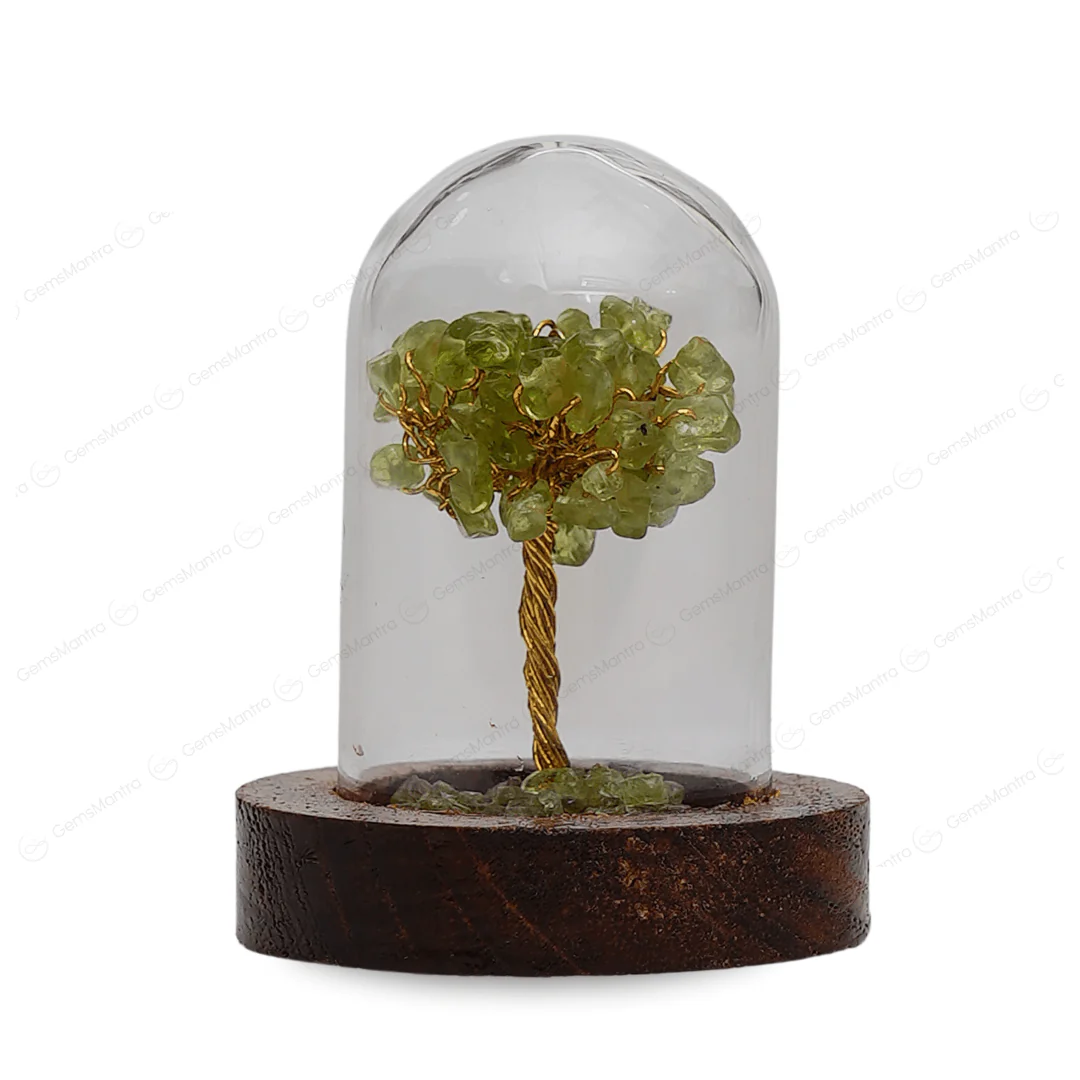 Peridot Glass Cover Showcase Tree - Image 3
