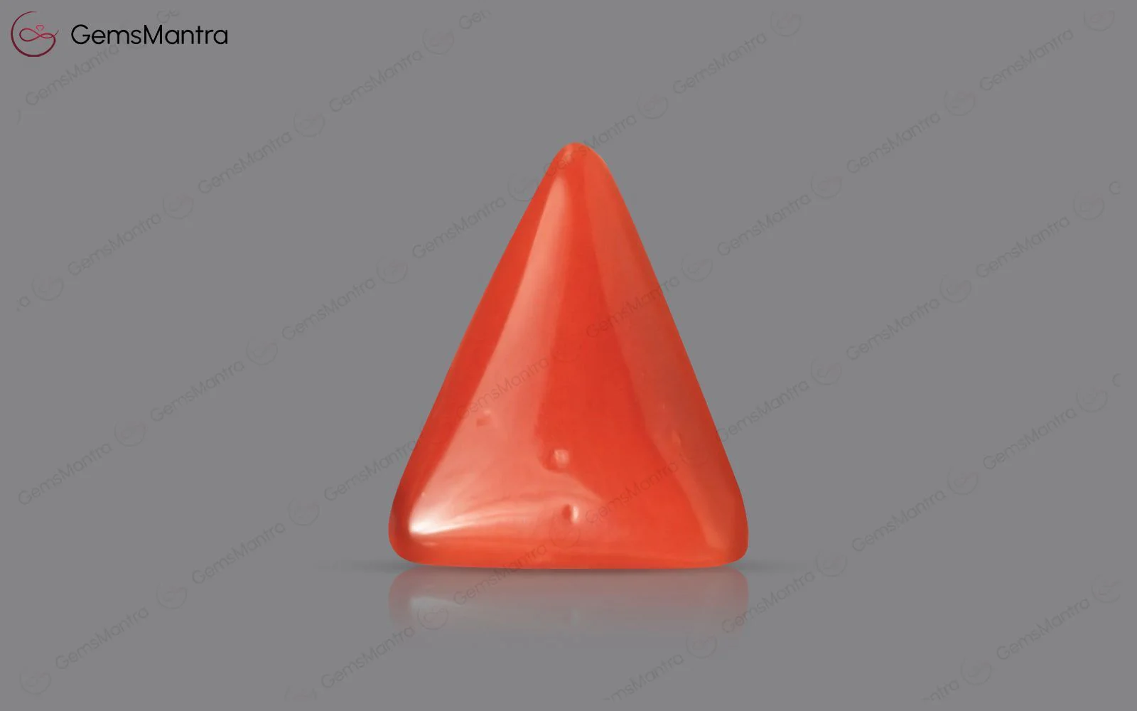 Red Coral - 2.9 Carats - Image 2