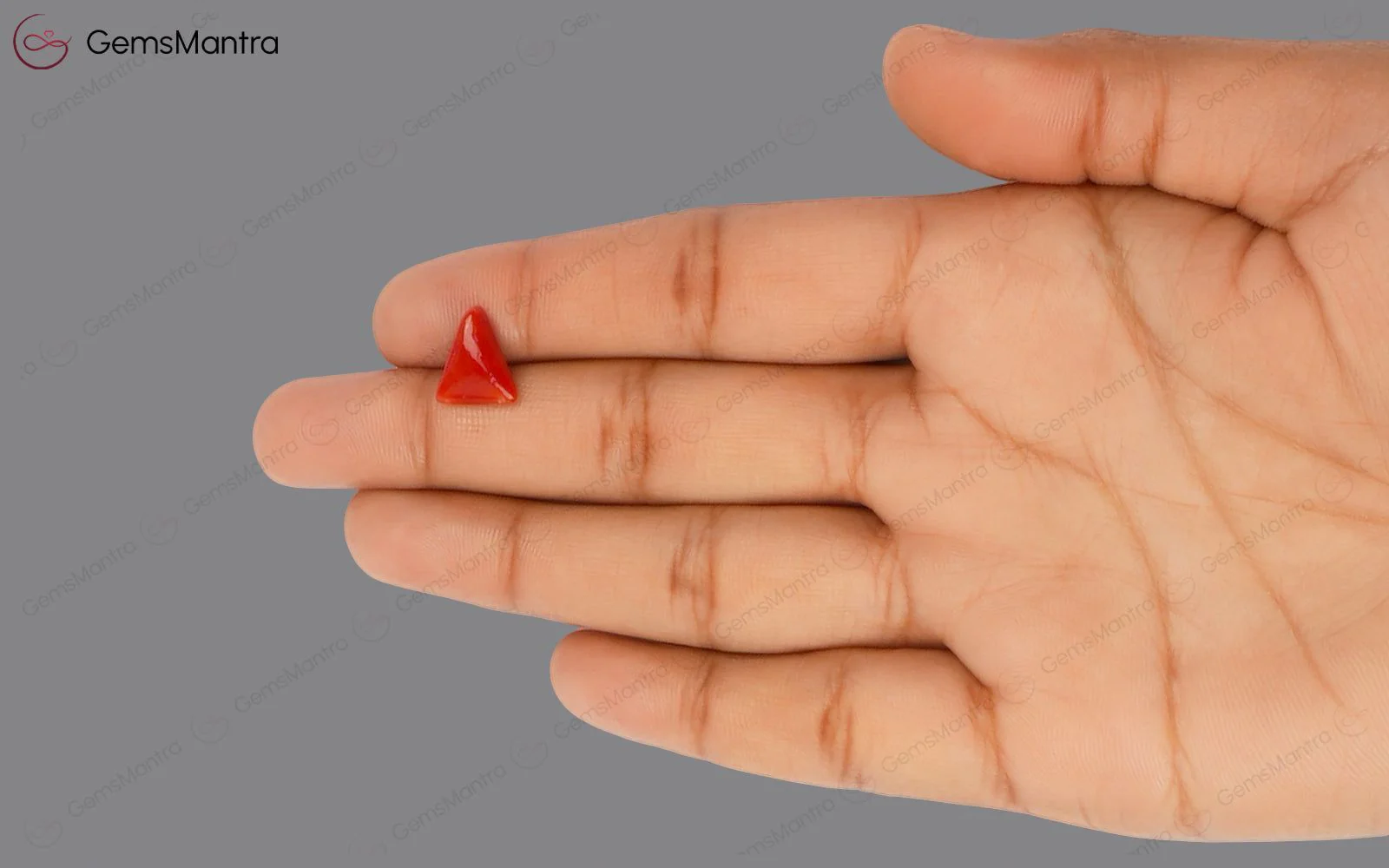 Red Coral - 2.9 Carats - Image 3
