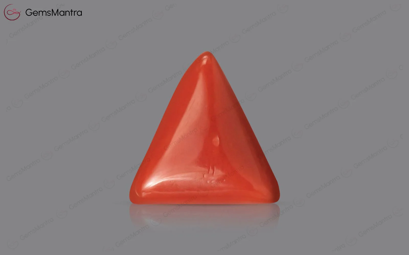 Red Coral - 2.93 Carats - Image 2