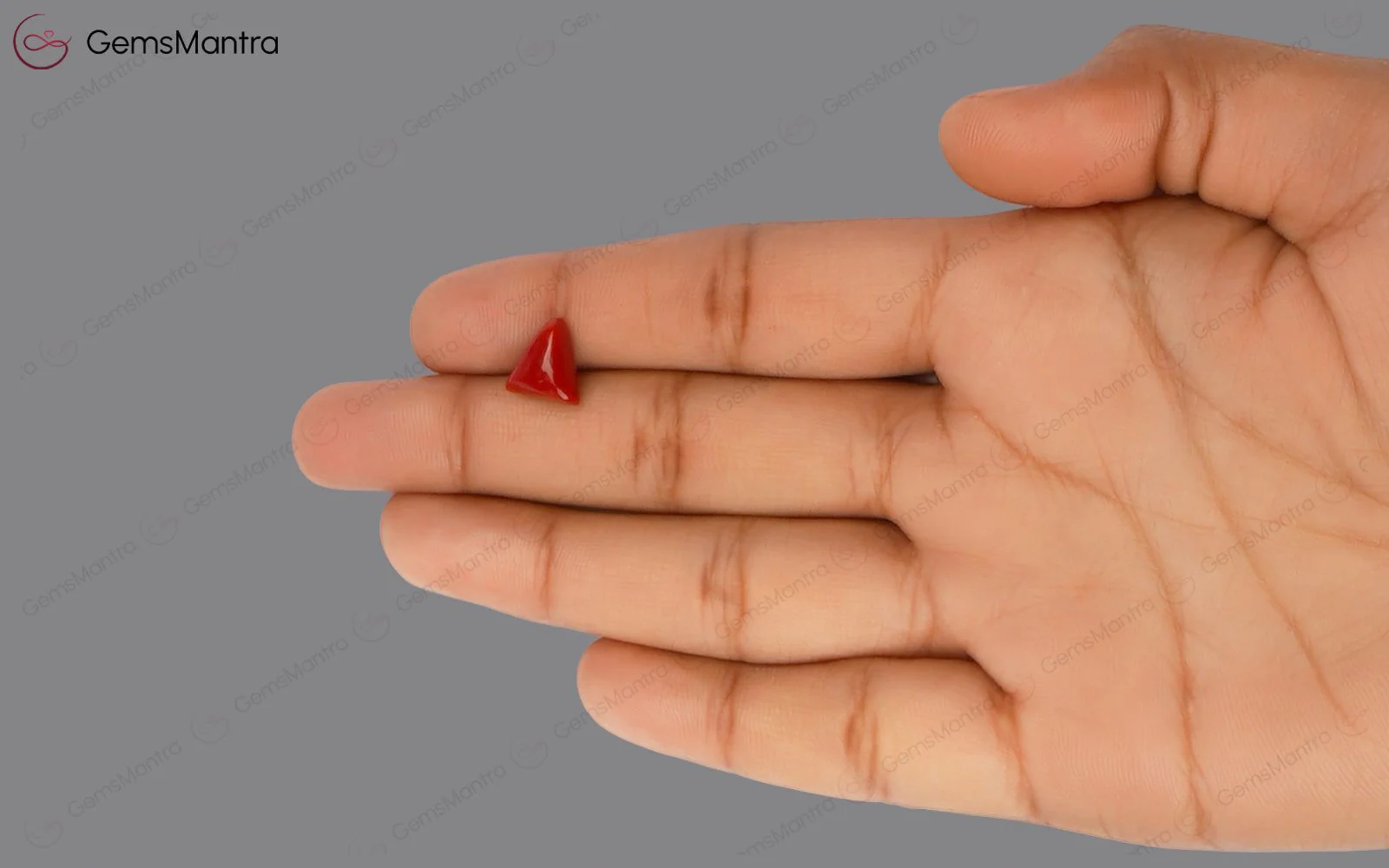 Red Coral - 2.93 Carats - Image 3