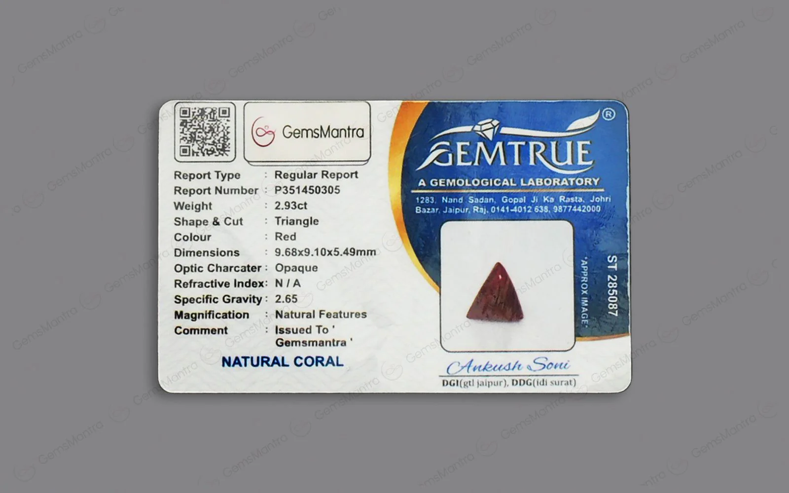 Red Coral - 2.93 Carats - Image 4