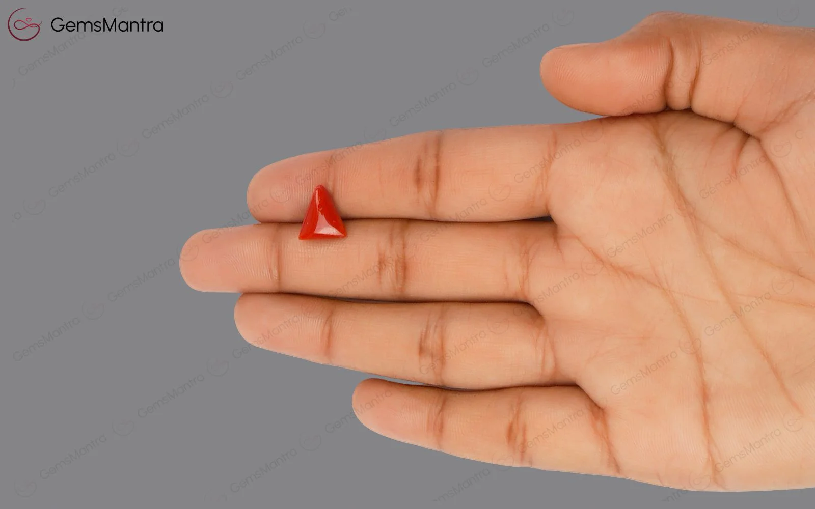 Red Coral - 2.88 Carats - Image 3