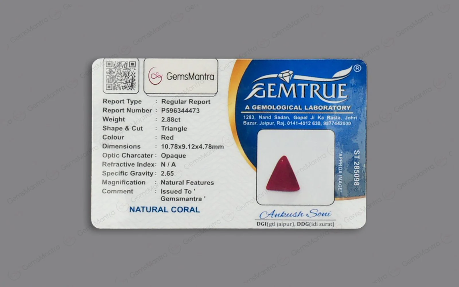 Red Coral - 2.88 Carats - Image 4