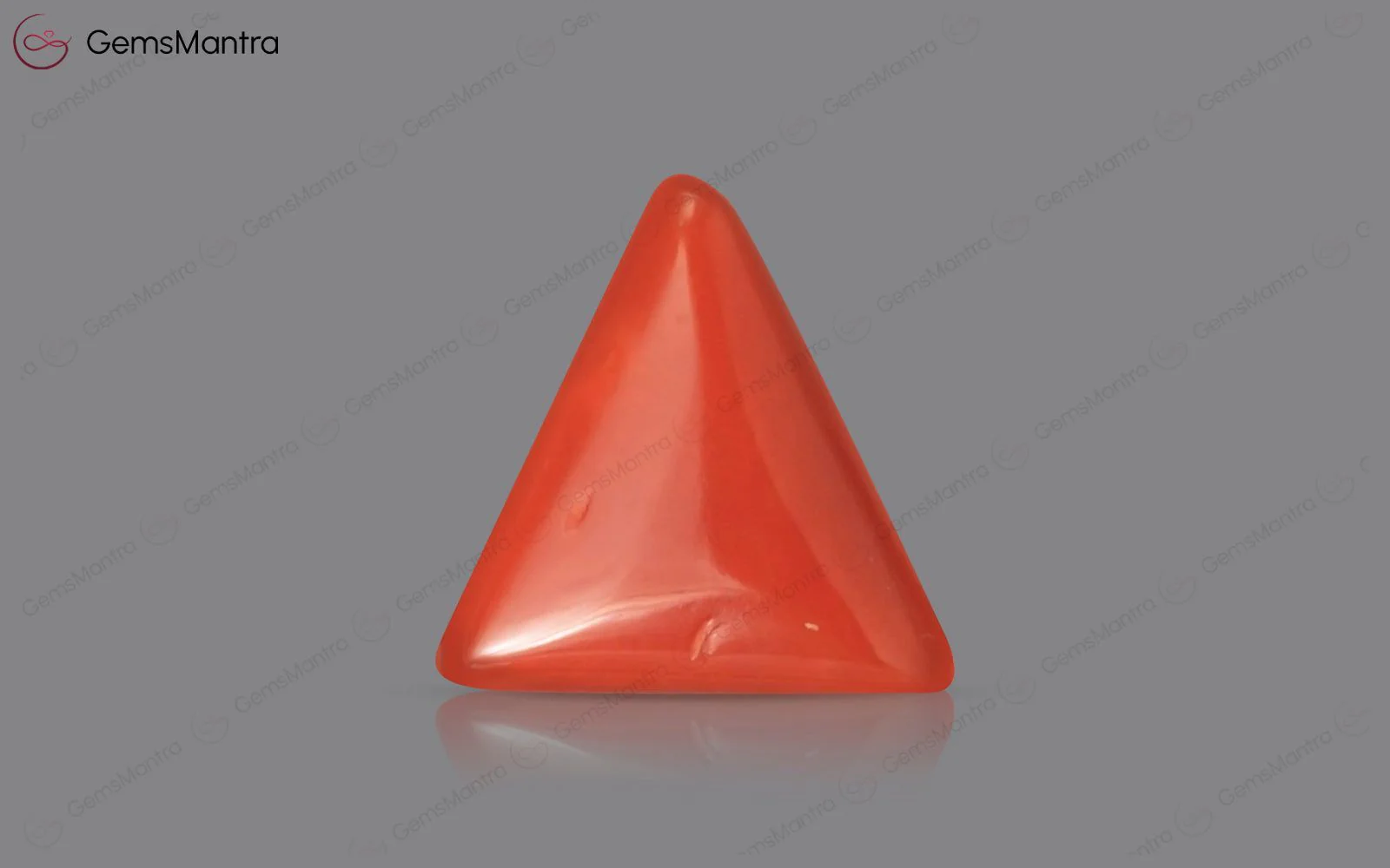 Red Coral - 2.9 Carats - Image 2