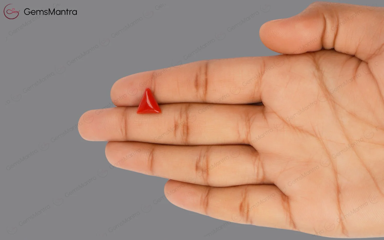 Red Coral - 2.9 Carats - Image 3