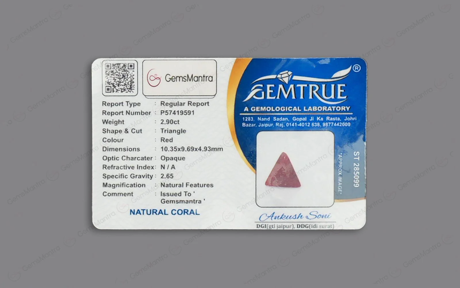 Red Coral - 2.9 Carats - Image 4