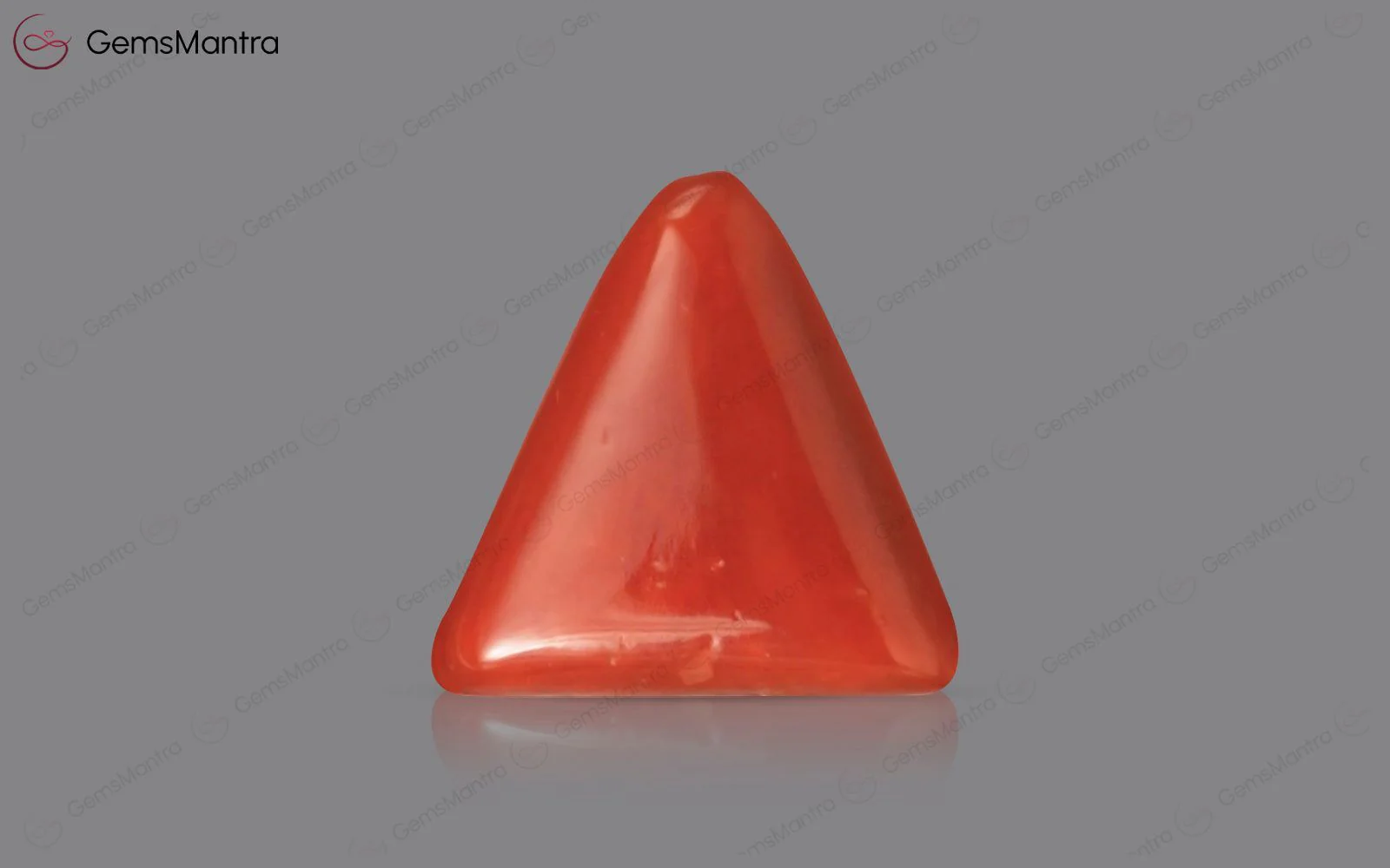 Red Coral - 2.82 Carats - Image 2