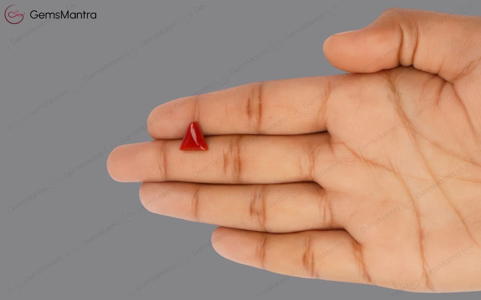 Red Coral - 2.82 Carats - Image 3
