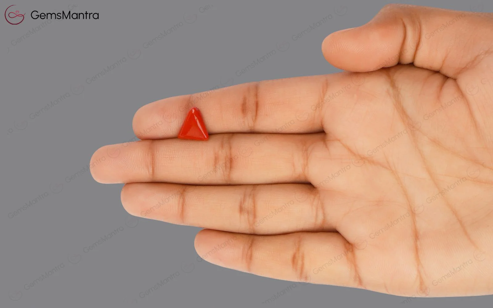 Red Coral - 2.75 Carats - Image 3
