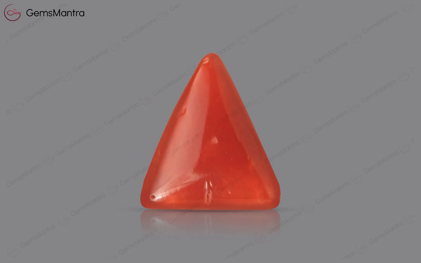 Red Coral - 2.89 Carats - Image 2
